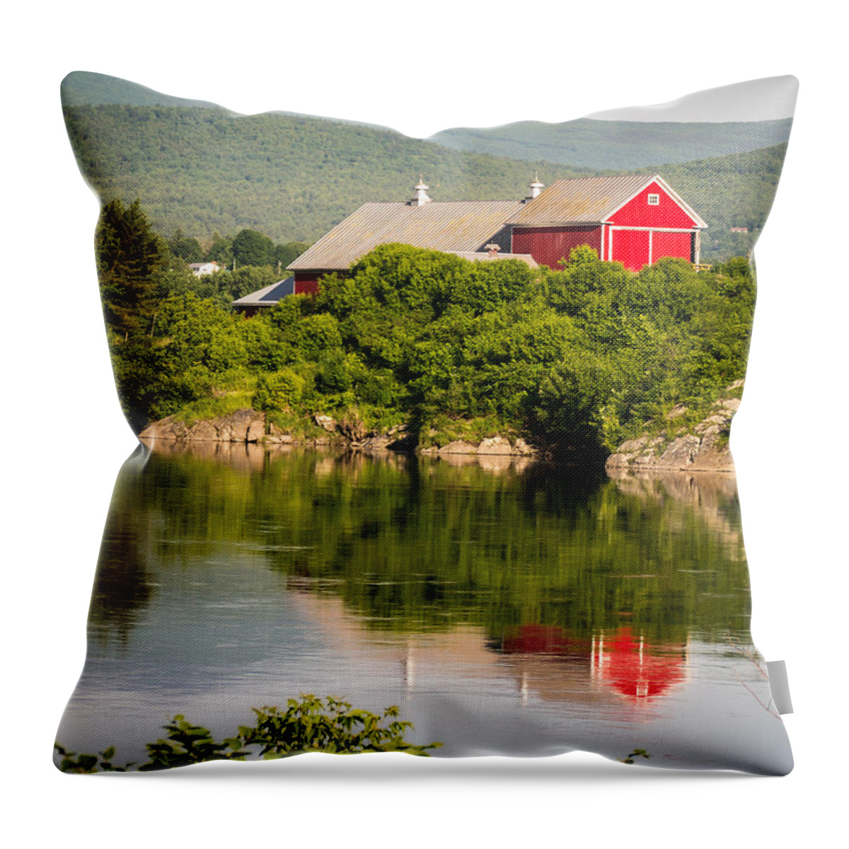 Collection Throw Pillow featuring the photograph Connecticut River Farm by Edward Fielding
