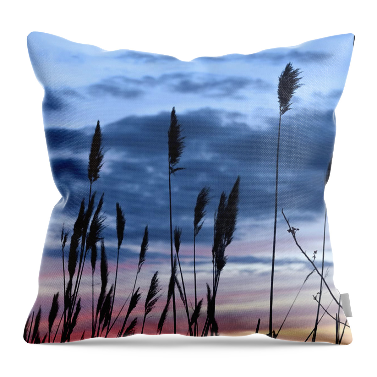 Water Throw Pillow featuring the photograph Connecticut Sunset with Reeds Series 4 by Marianne Campolongo