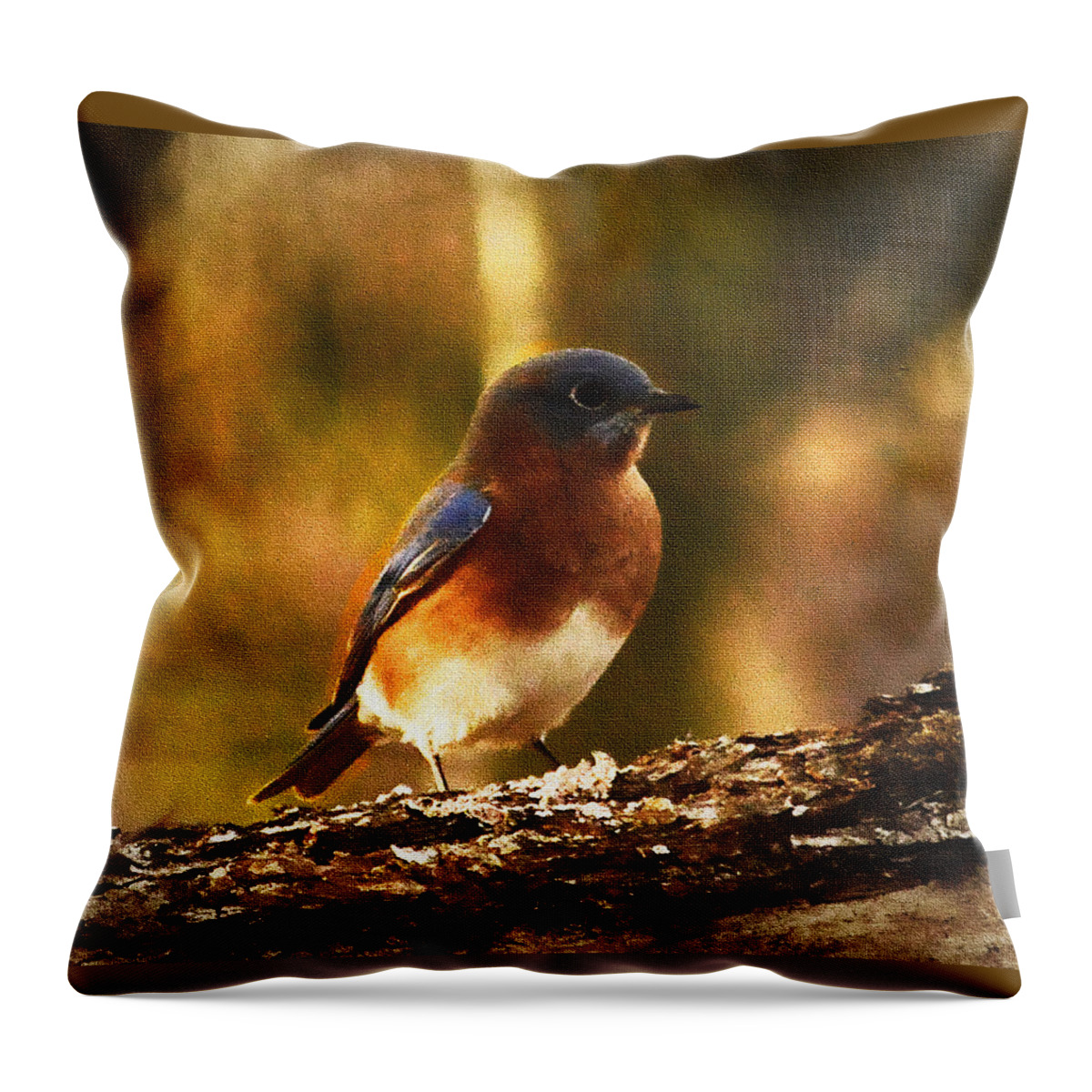 Nature Throw Pillow featuring the digital art Consider This by Lena Wilhite