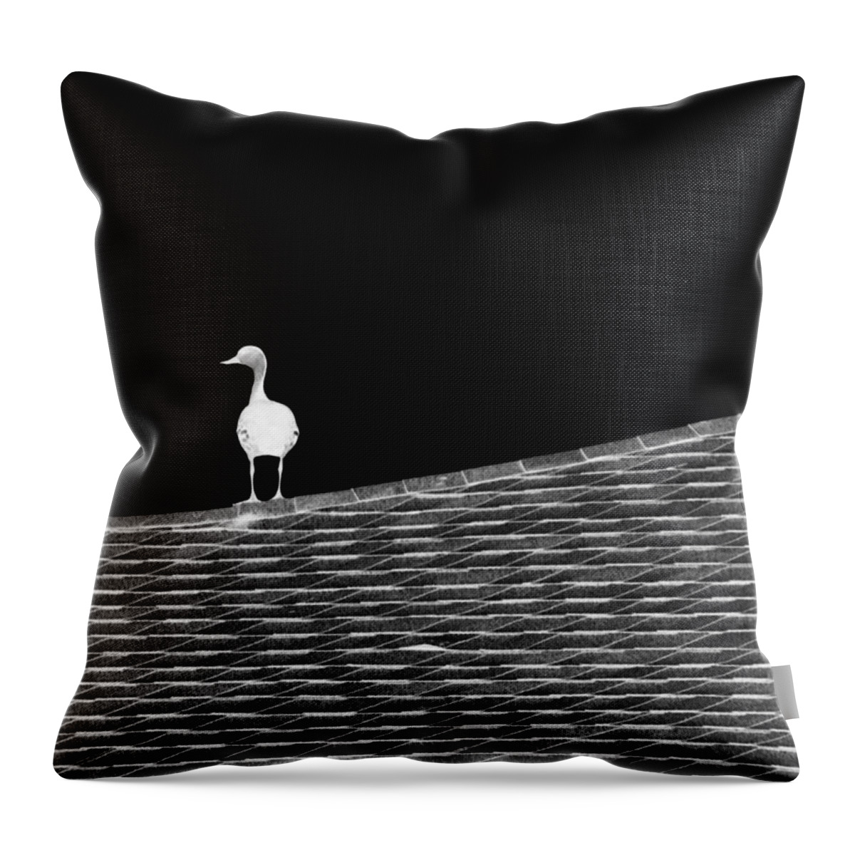 Contemplating Throw Pillow featuring the photograph Contemplating by Darla Wood