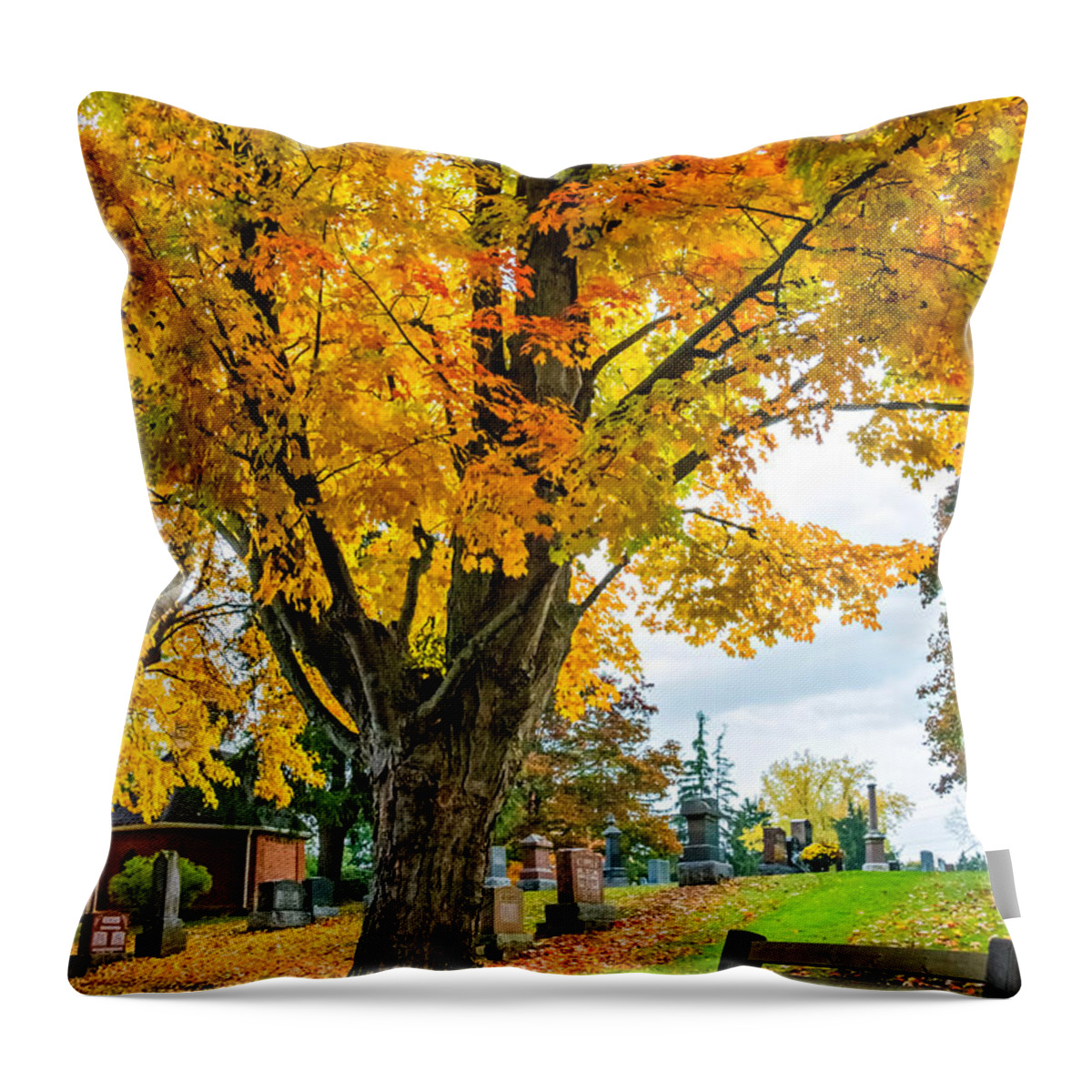 Andscape Throw Pillow featuring the photograph Contemplation Bench by Steve Harrington