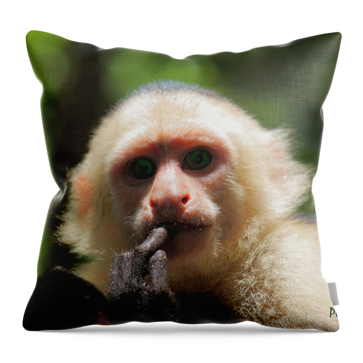 Contemplation Throw Pillow featuring the photograph Contemplation by Patrick Witz