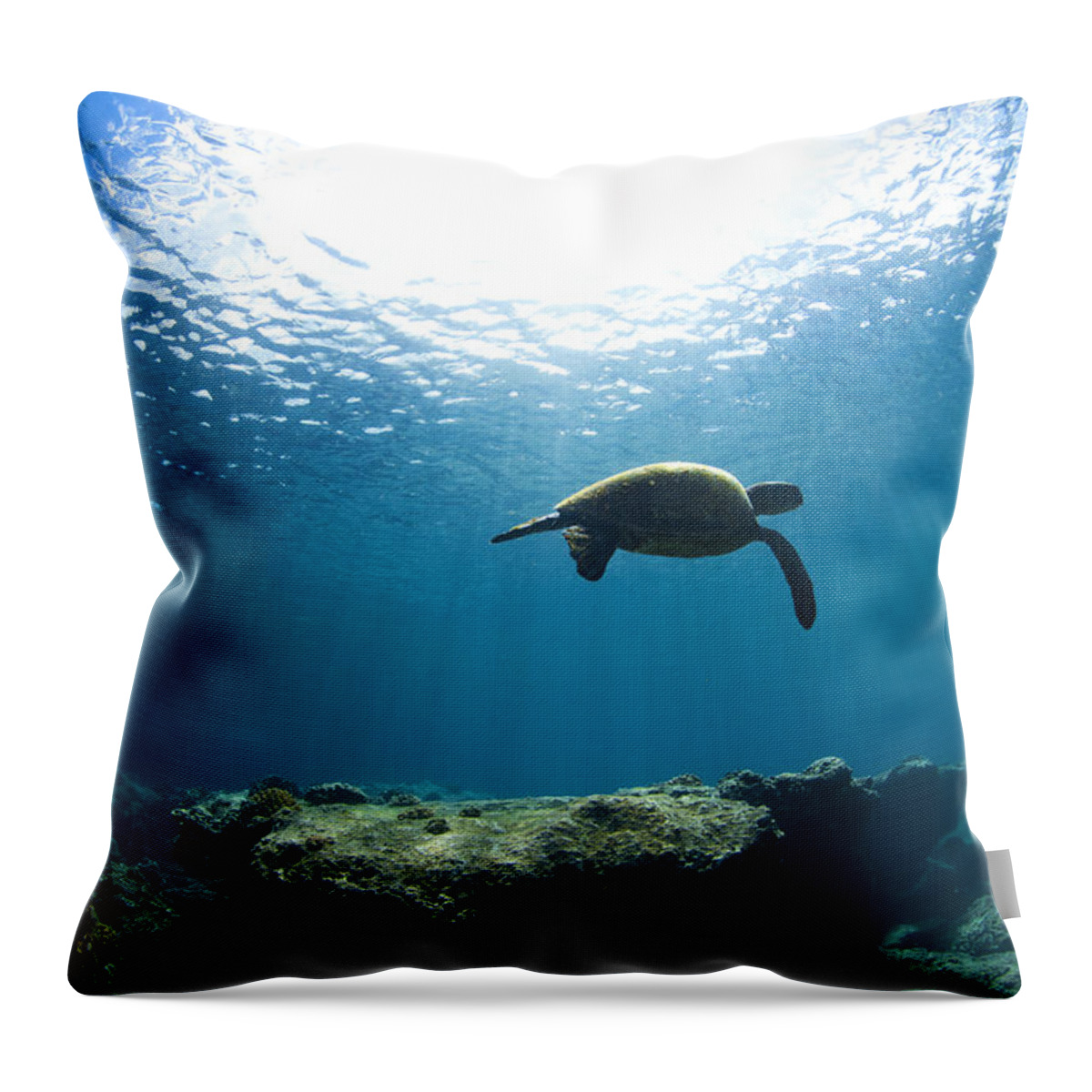 Sea Throw Pillow featuring the photograph Contemplation by Sean Davey
