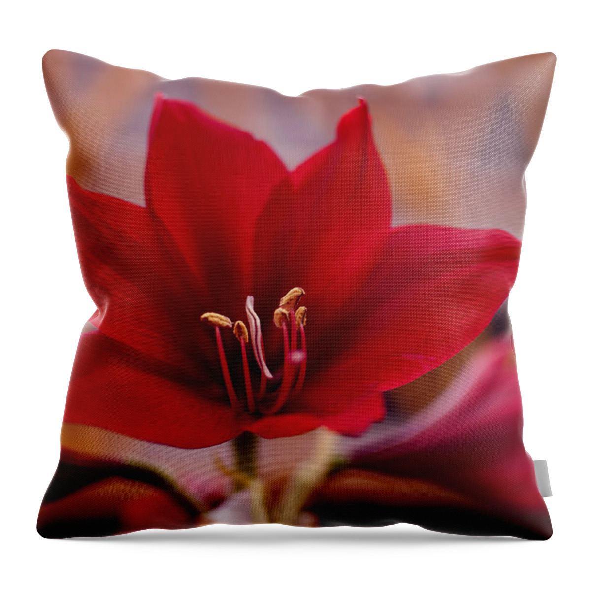 Tropical Throw Pillow featuring the photograph Content Tropics by Miguel Winterpacht