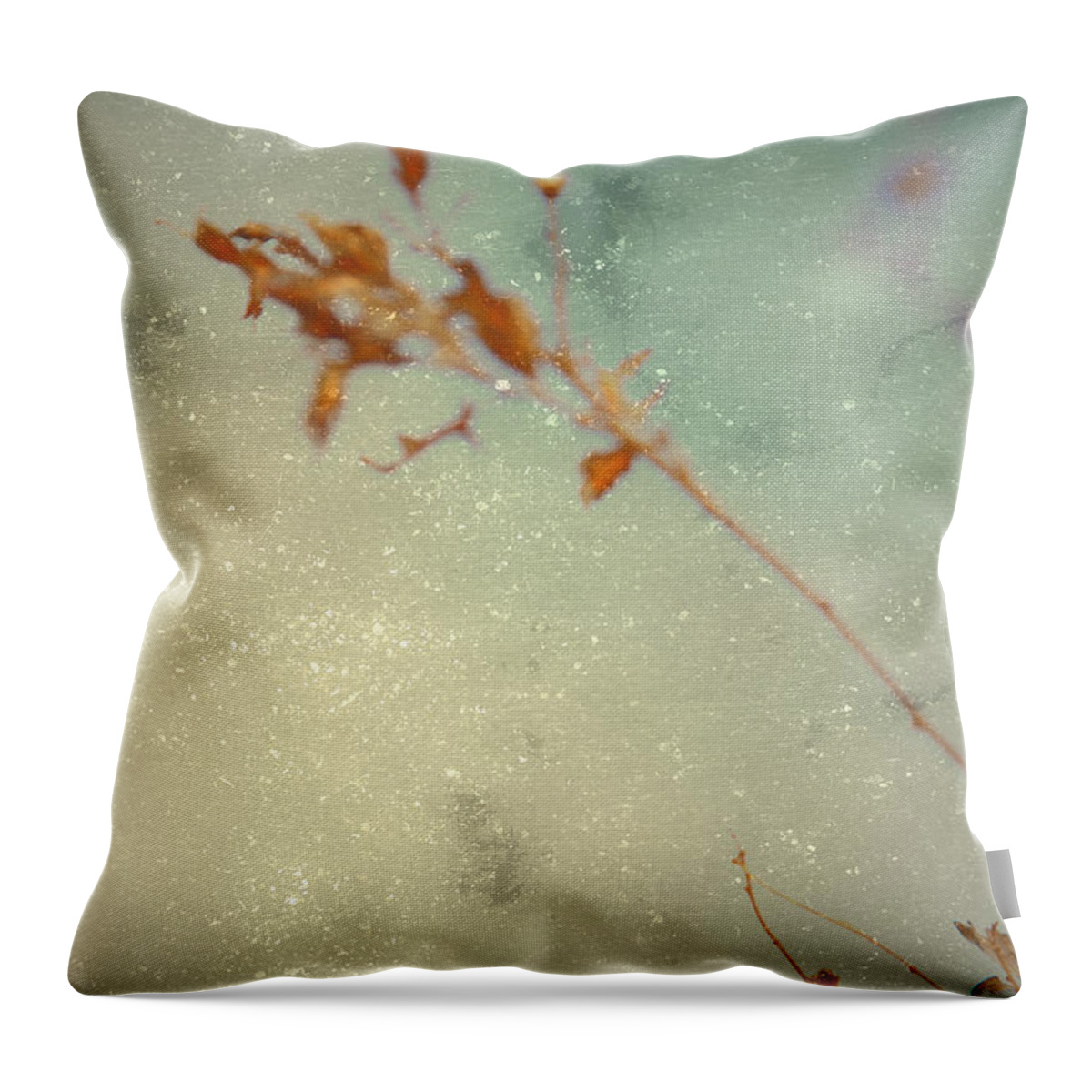 Leaf Throw Pillow featuring the photograph Continues by Mark Ross
