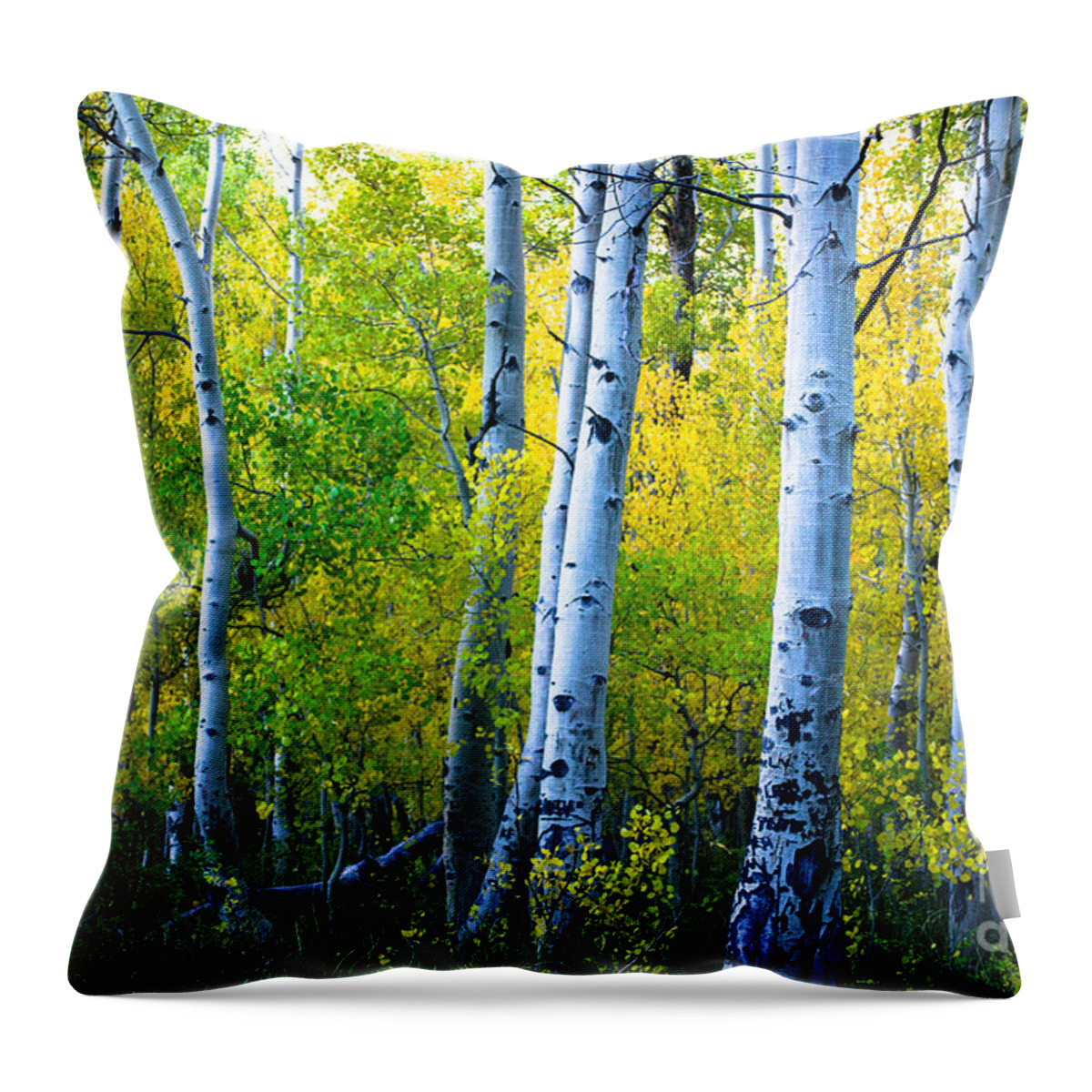 Convict Lake Throw Pillow featuring the photograph Convict Lake Aspen Forest by Misty Tienken
