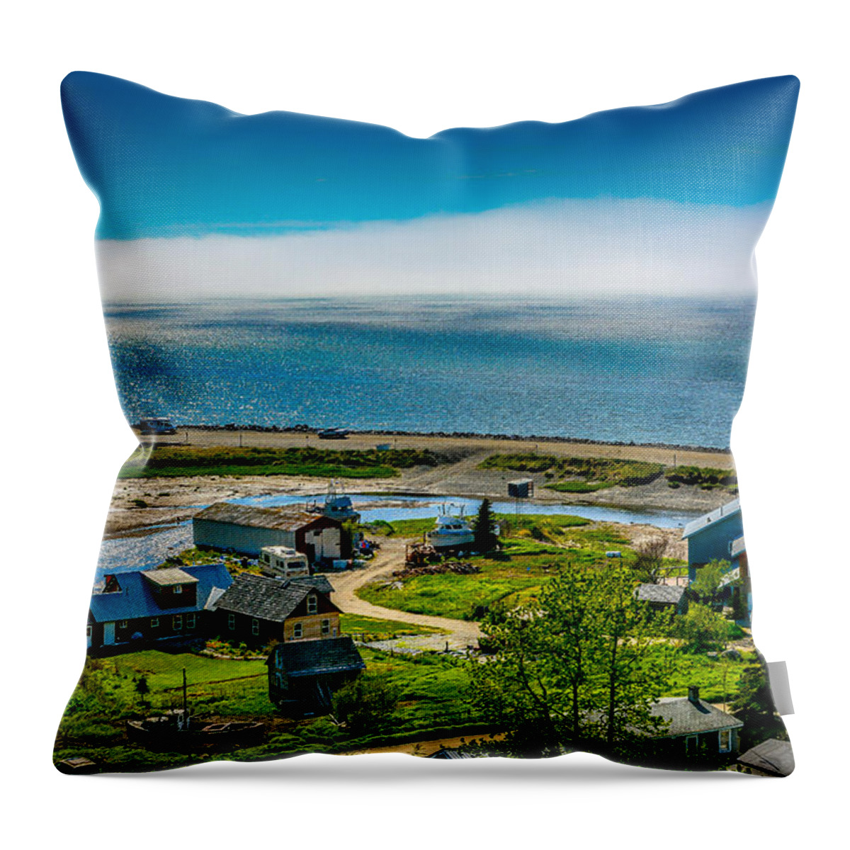 Alaska Throw Pillow featuring the photograph Cook Inlet by Andrew Matwijec
