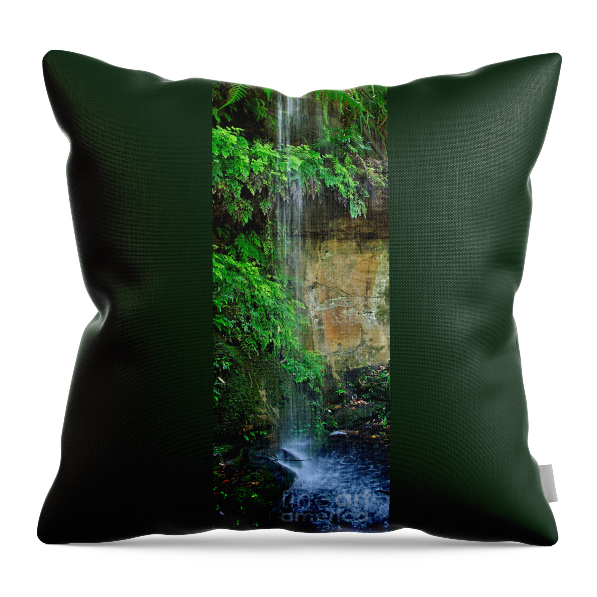 Photography Throw Pillow featuring the photograph Cool and Refreshing by Kaye Menner