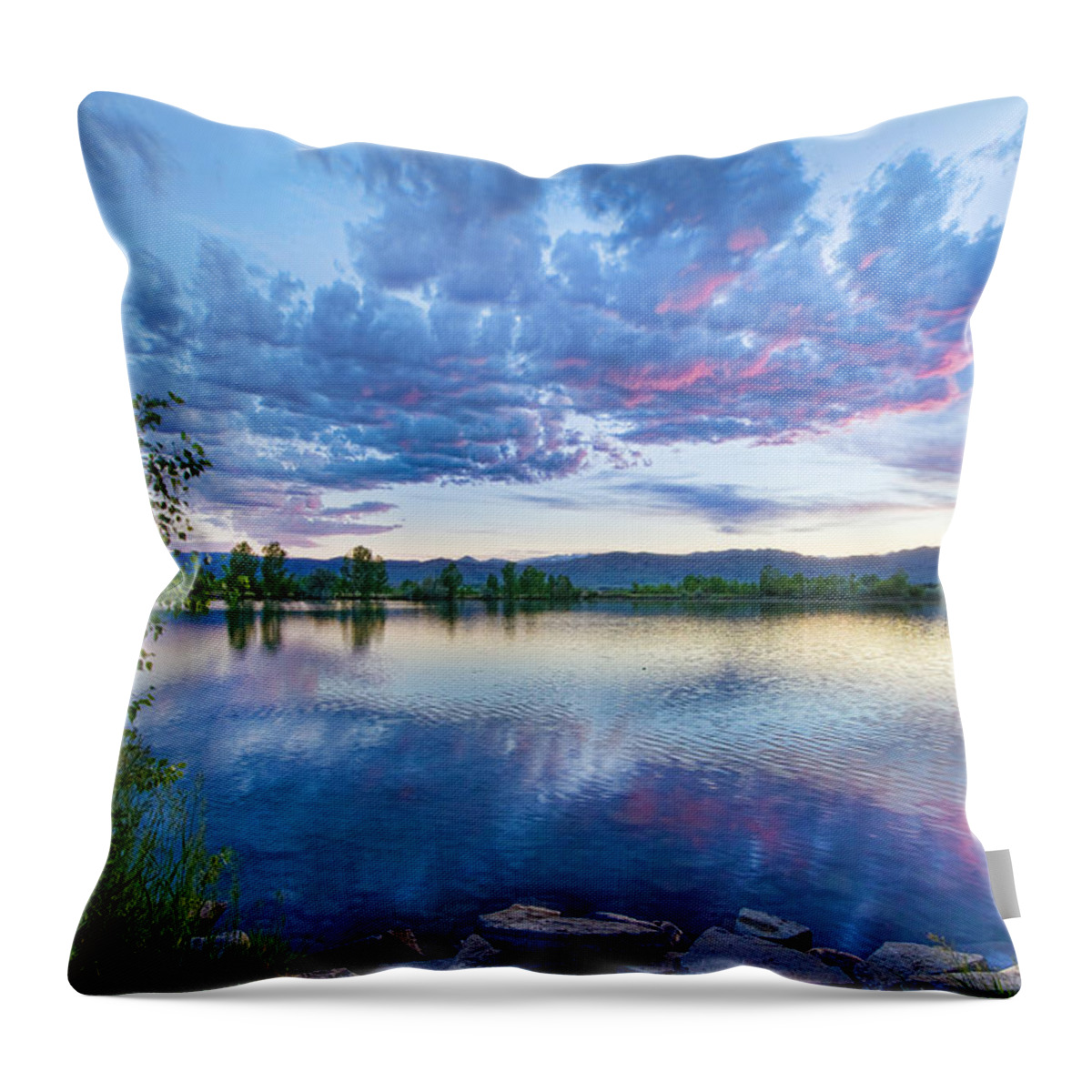 Reflections Throw Pillow featuring the photograph Coot Lake View by James BO Insogna