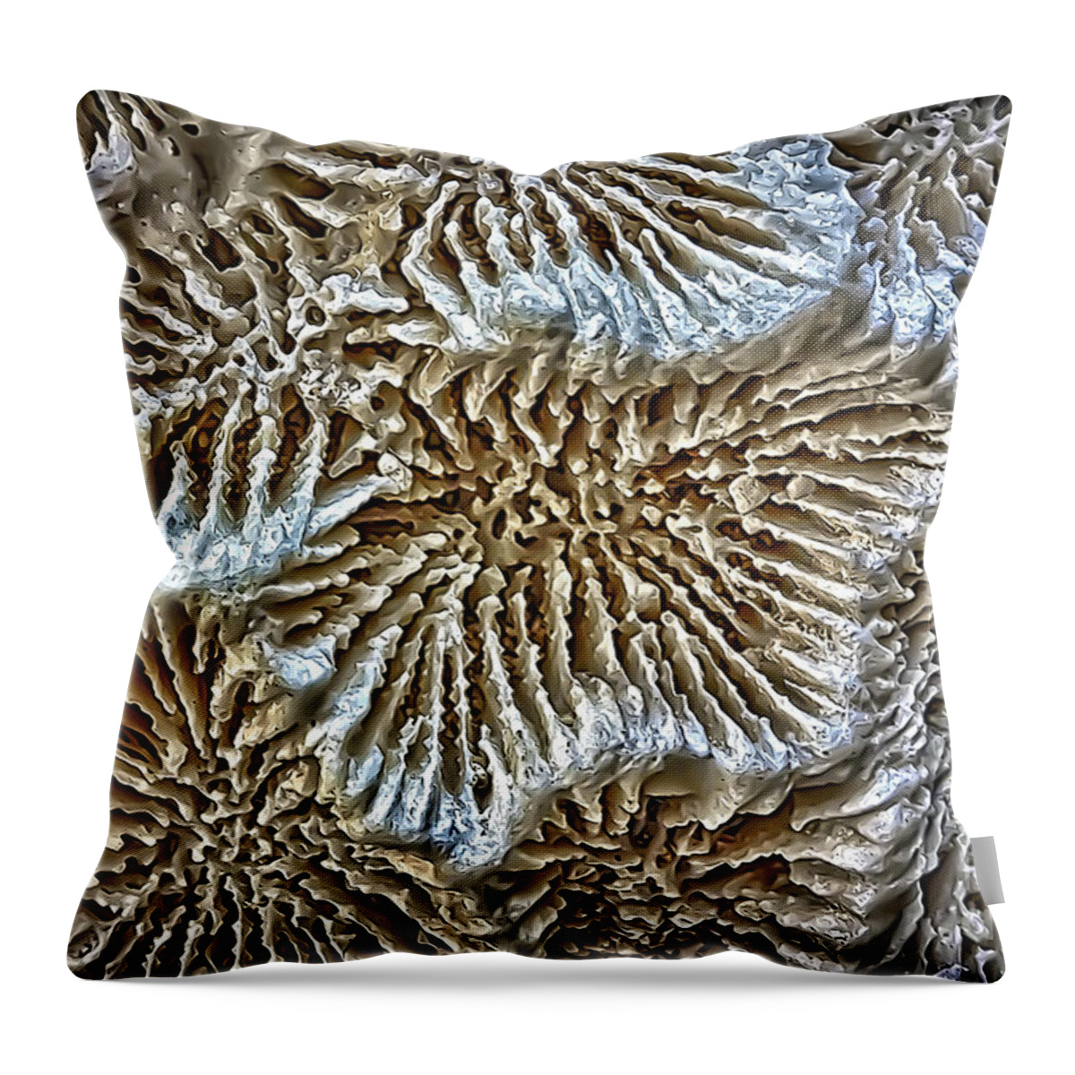 Coral Throw Pillow featuring the photograph Coral 1 by Walt Foegelle