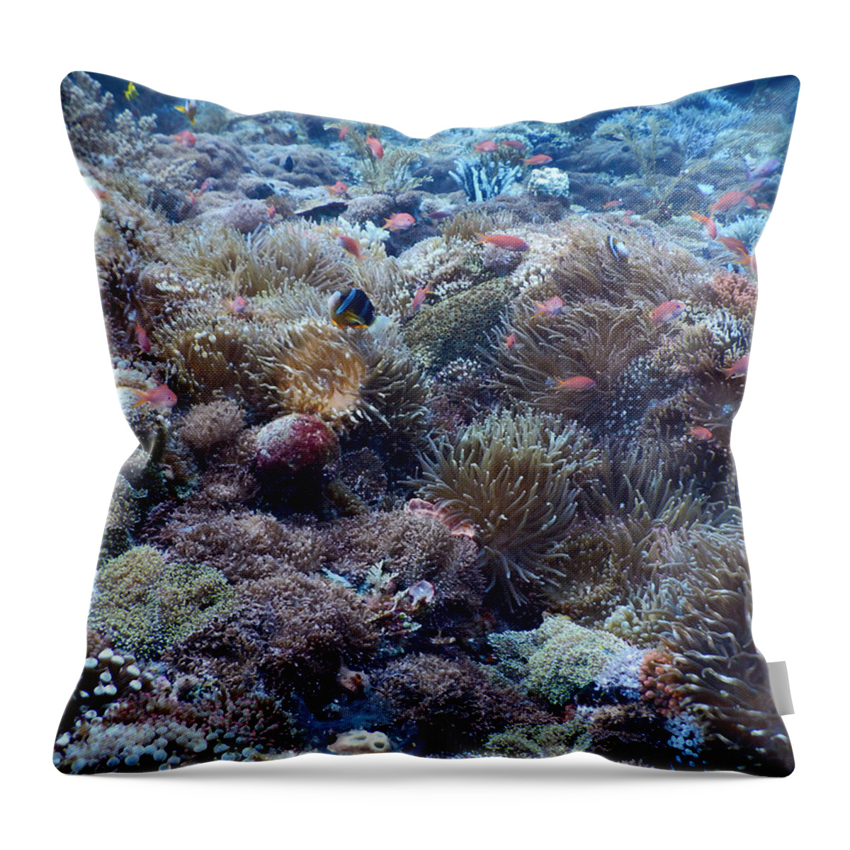 Anemone Throw Pillow featuring the photograph Coral Reef Biodiversity by Carleton Ray