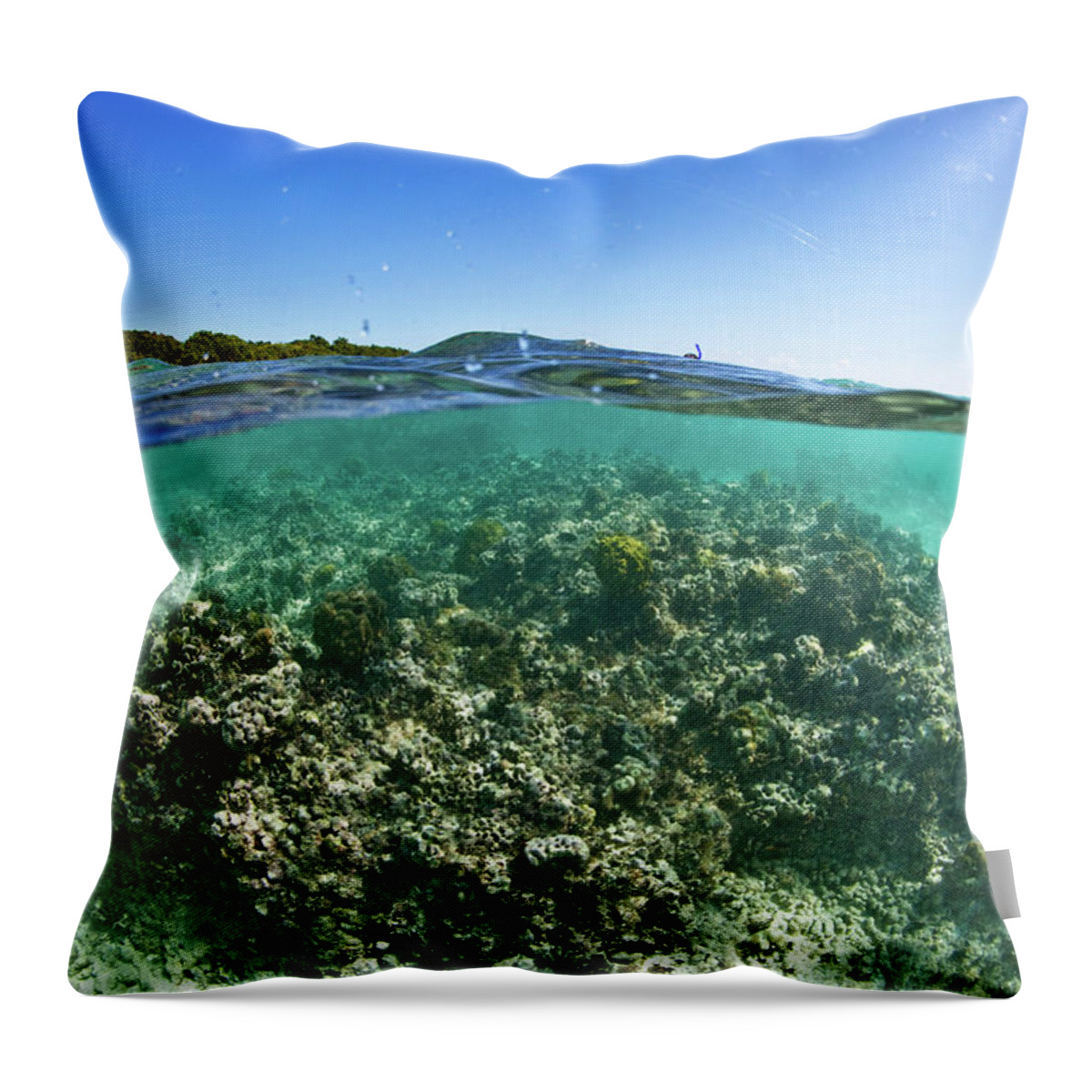 Photography Throw Pillow featuring the photograph Coral Reef In Culebra Island, Puerto by Panoramic Images
