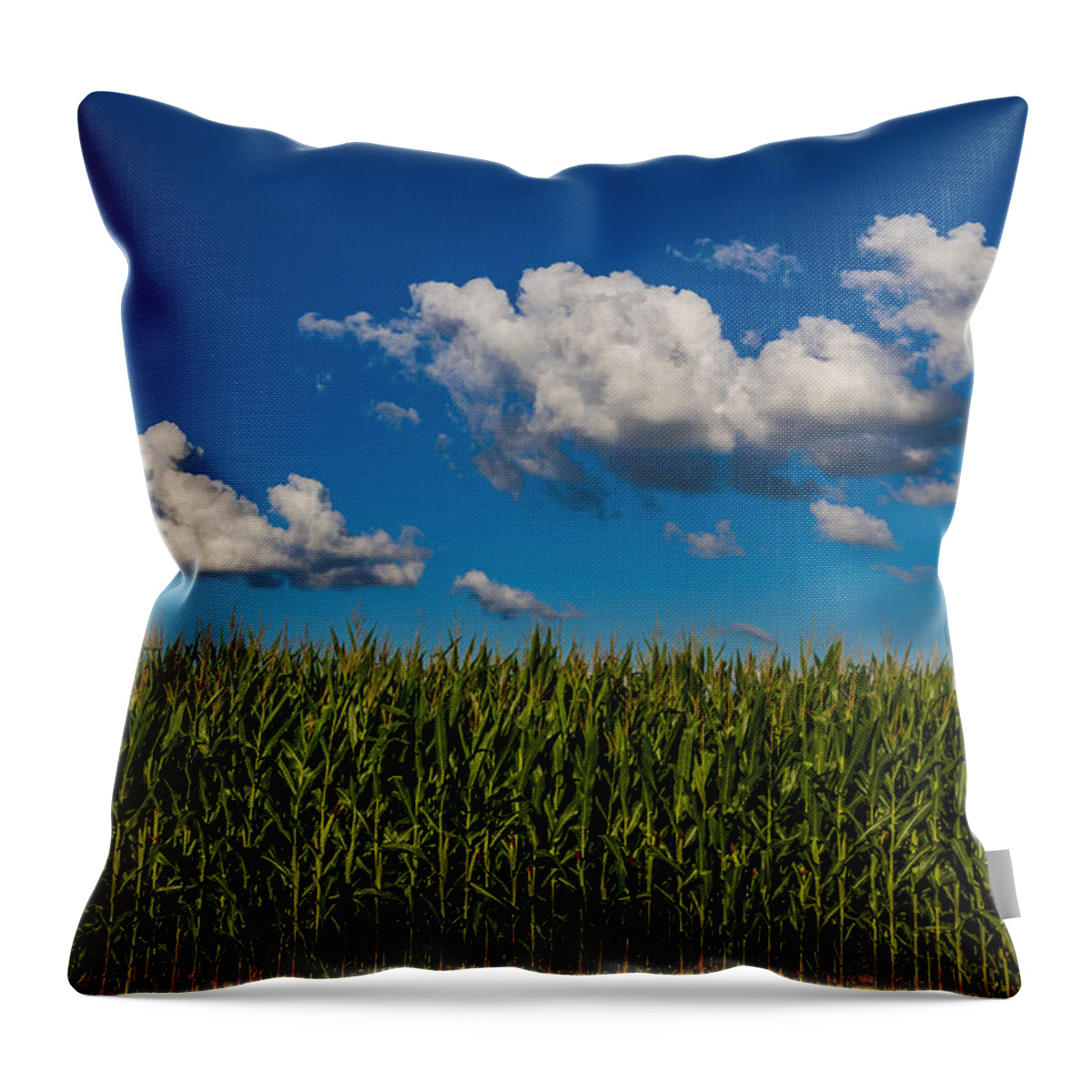 Indiana Throw Pillow featuring the photograph Corn Field by Ron Pate