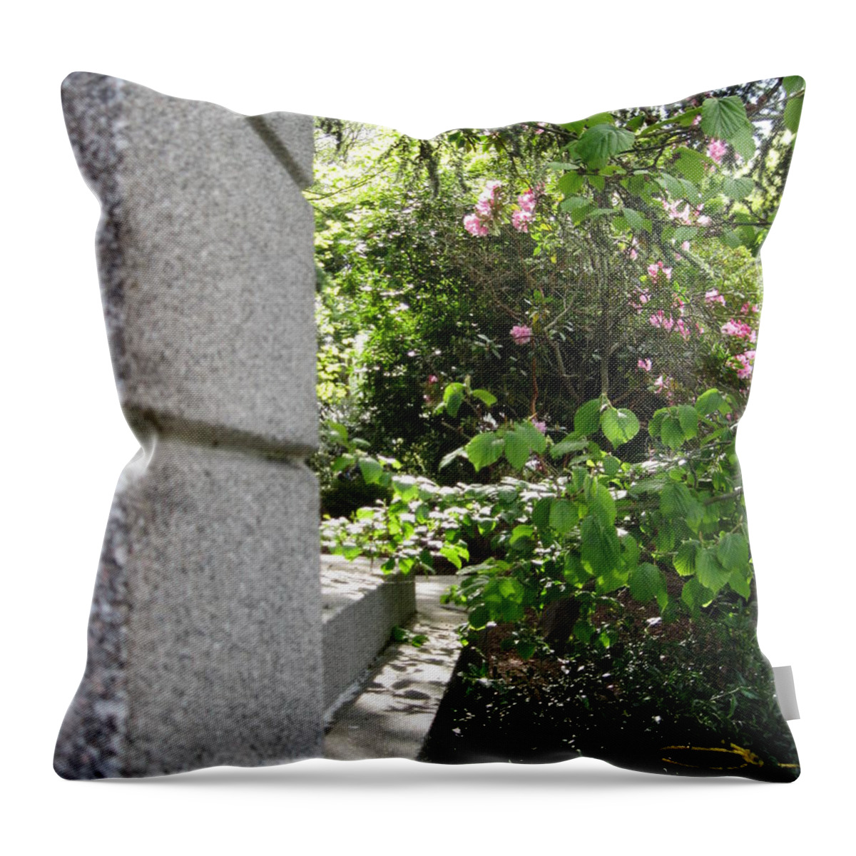 Seattle Throw Pillow featuring the photograph Corner Garden by David Trotter
