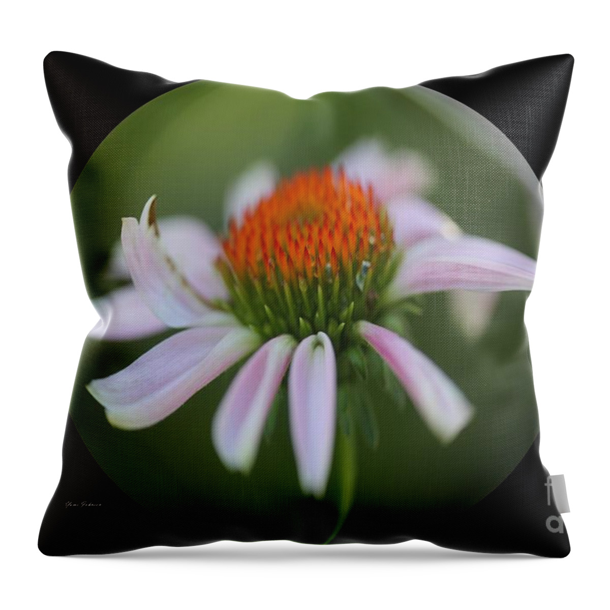 Cornflowers Throw Pillow featuring the photograph Cornflowers in the Ball by Yumi Johnson
