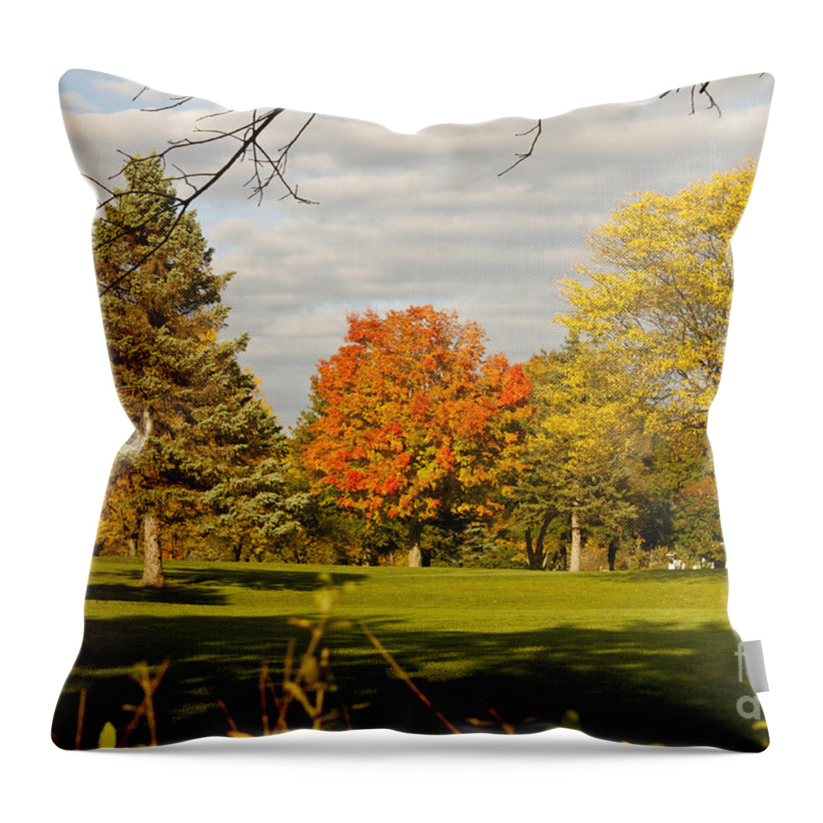 Fall Foliage Throw Pillow featuring the photograph Corning Fall Foliage 5 by Tom Doud