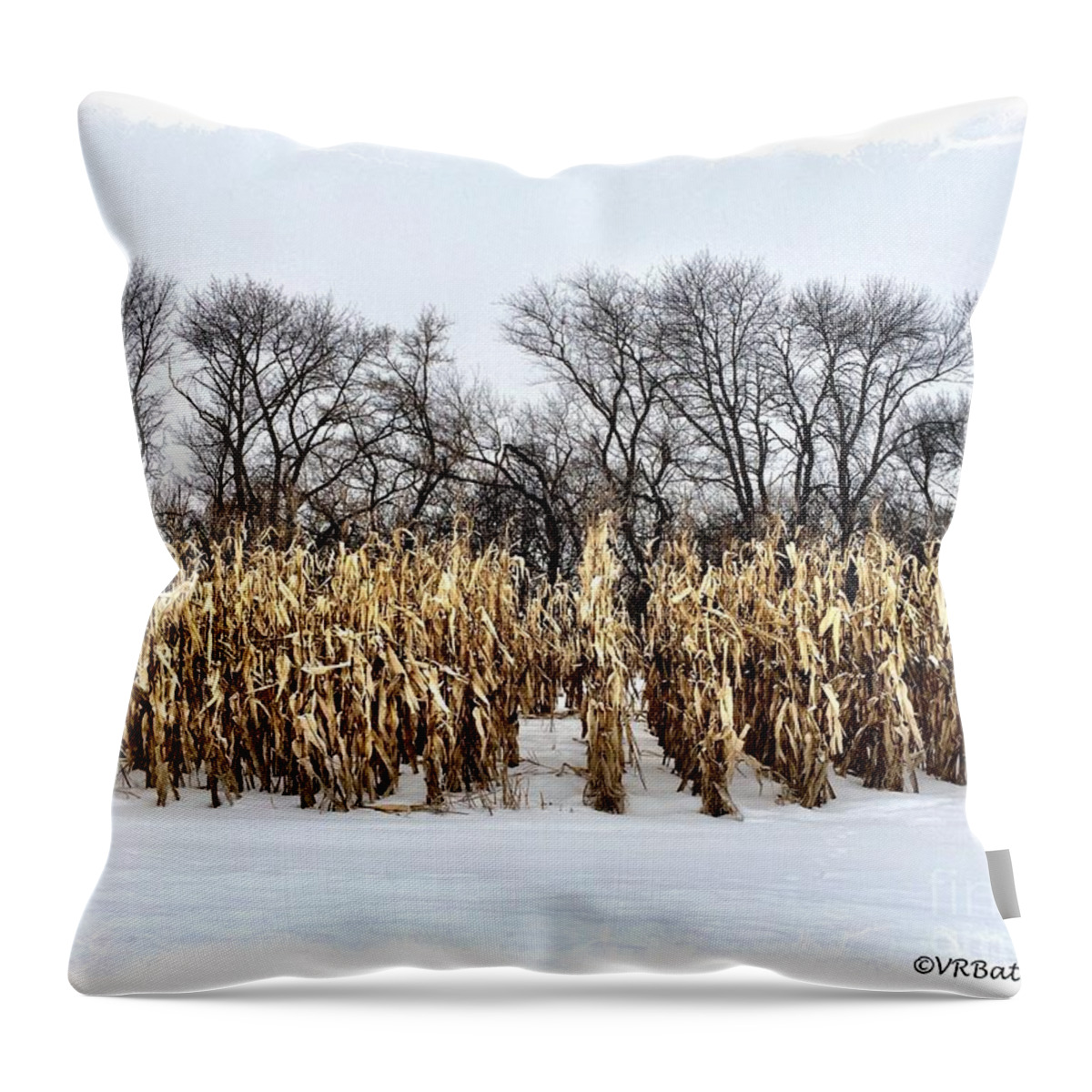 Snow Throw Pillow featuring the photograph Cornstalks in Snow by Veronica Batterson