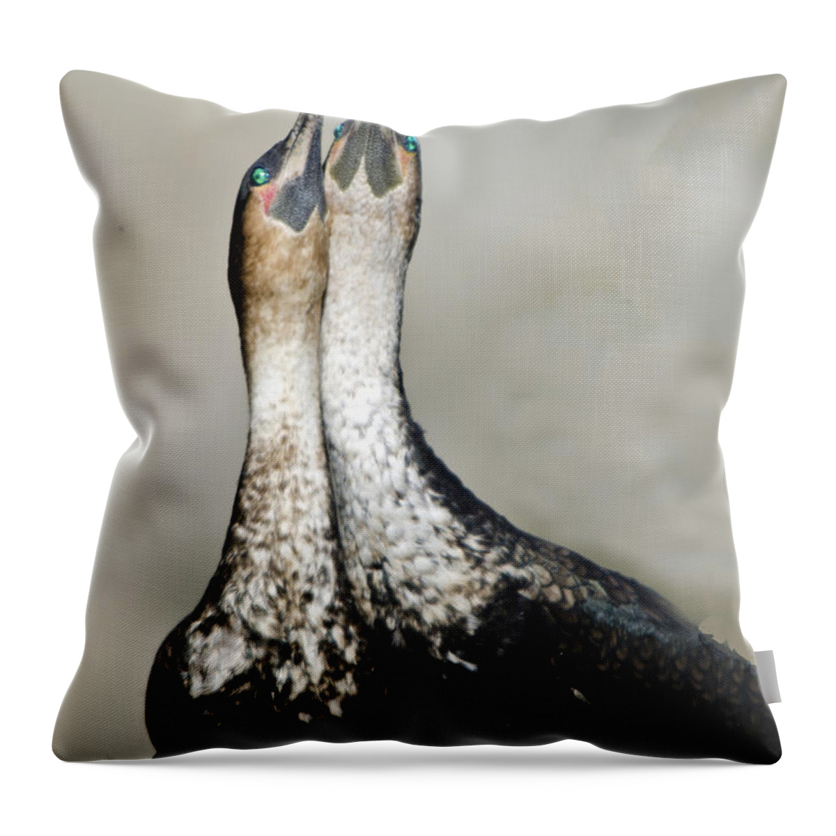 Bird Throw Pillow featuring the photograph Cororant Pair Necking by William Bitman