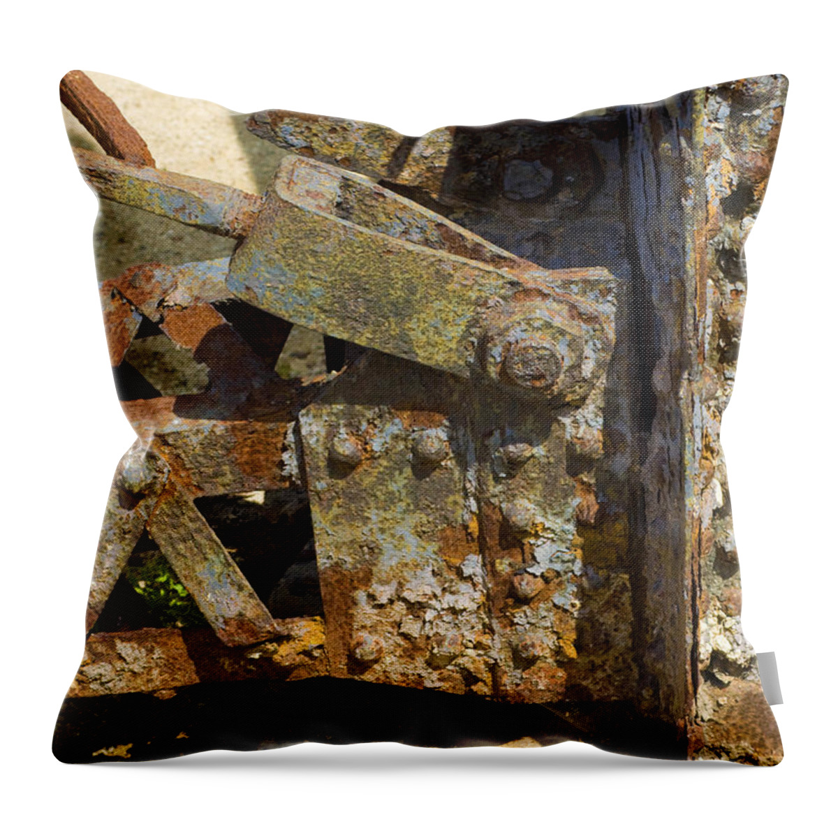 Rusty Throw Pillow featuring the photograph Corroded Steel by Lynn Hansen