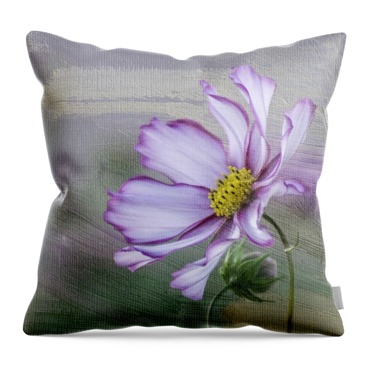 Cosmo Throw Pillow featuring the photograph Cosmo of the Garden by Kristal Kraft