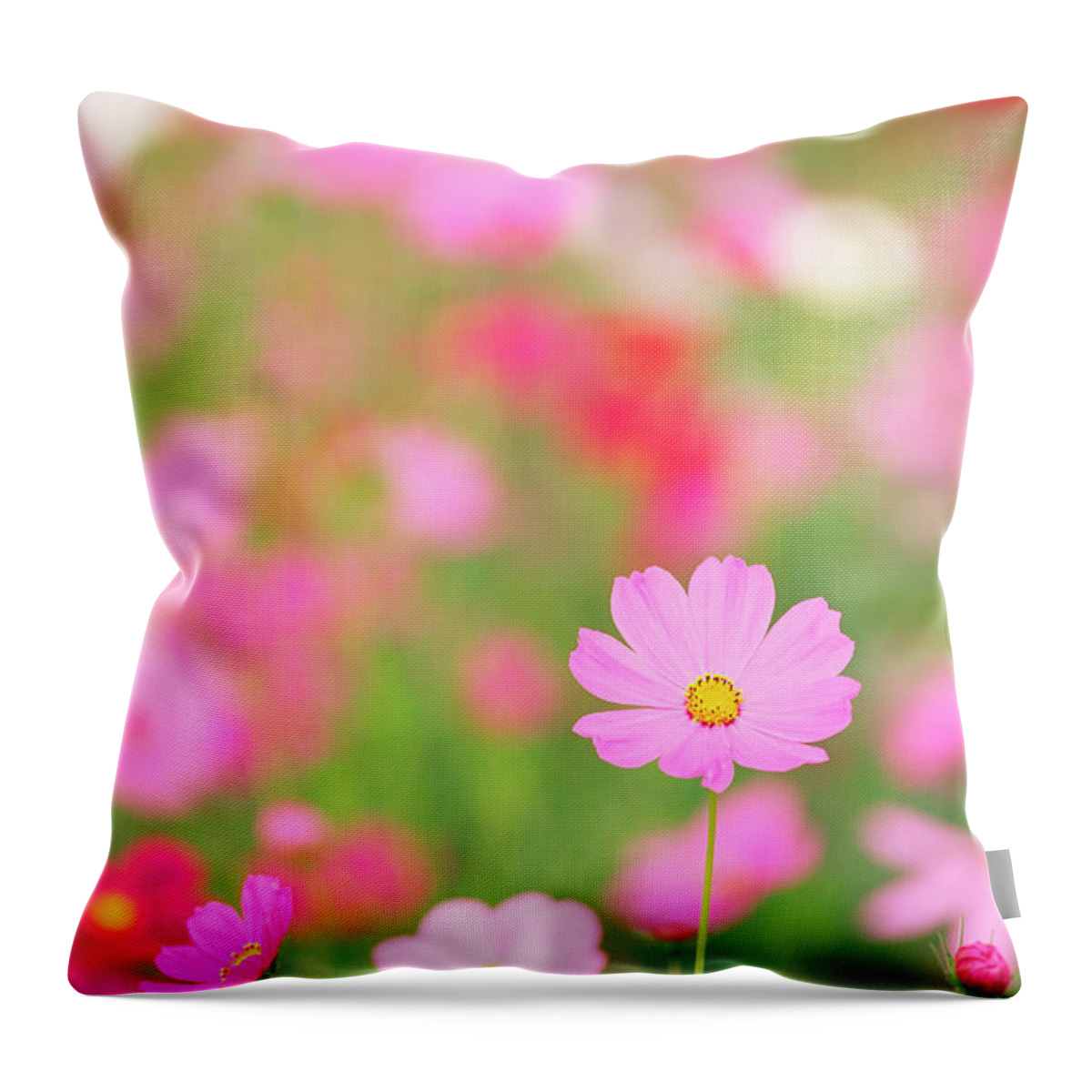 Scenics Throw Pillow featuring the photograph Cosmos Flowers by Ooyoo