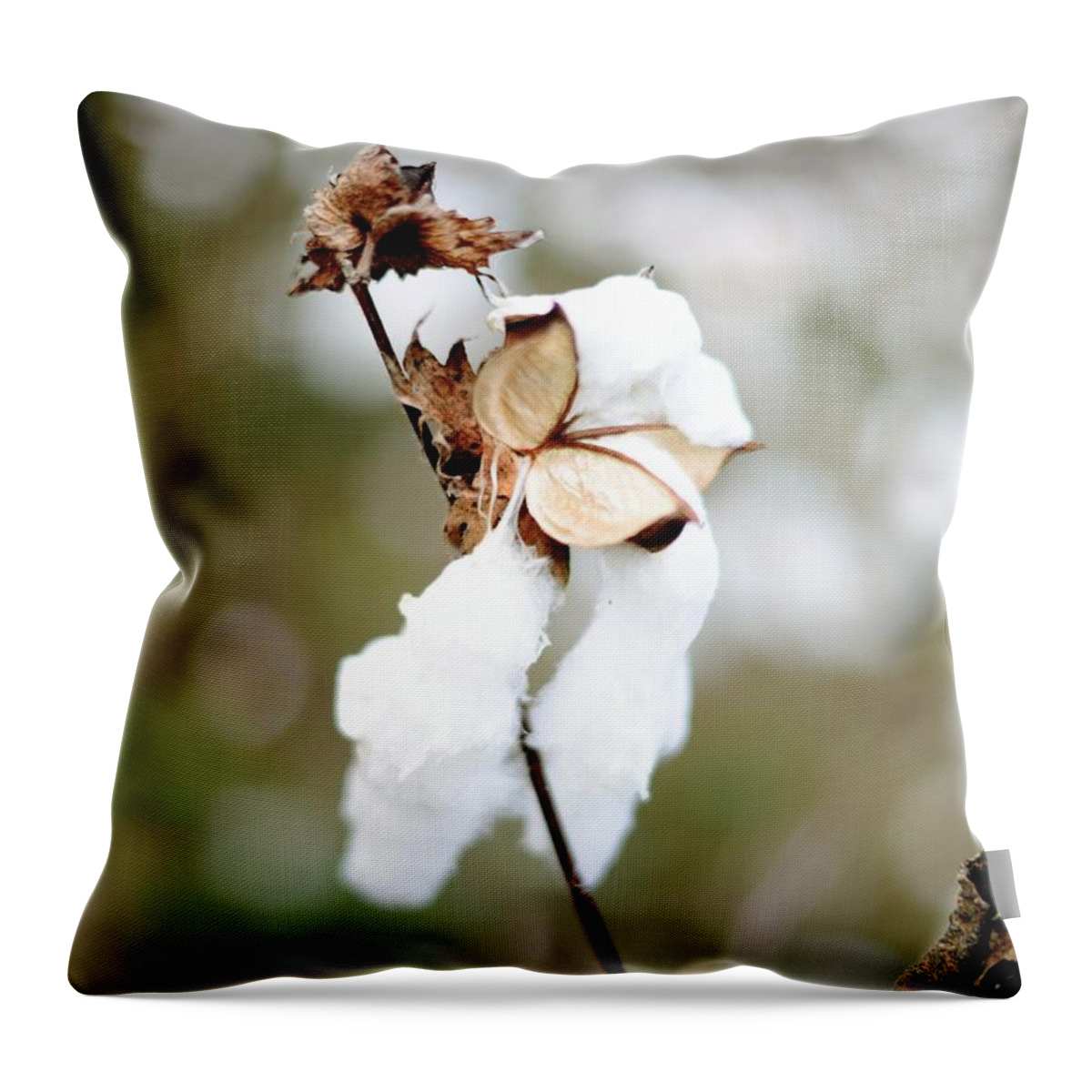 Cotton Throw Pillow featuring the photograph Cotton Picking by Linda Mishler