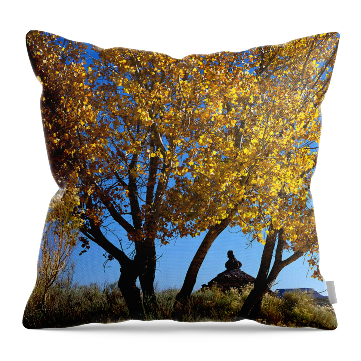 Utah Throw Pillow featuring the photograph Cottonwood and Nipple Butte-V by Tom Daniel