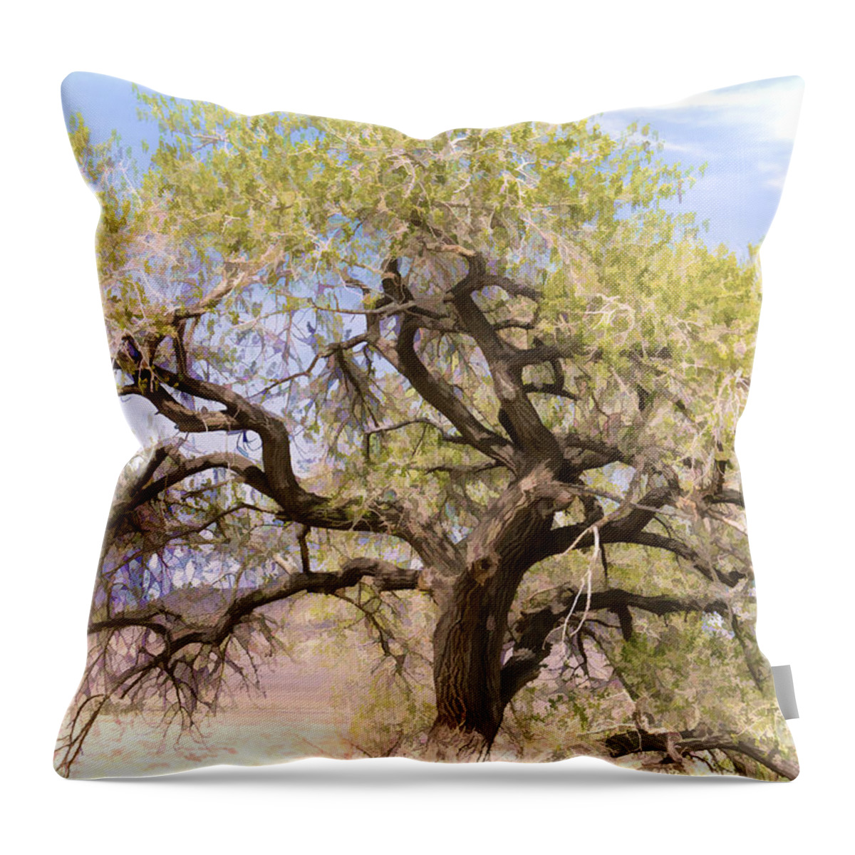 Tree Throw Pillow featuring the photograph Cottonwood Tree Digital Painting by Dianne Phelps