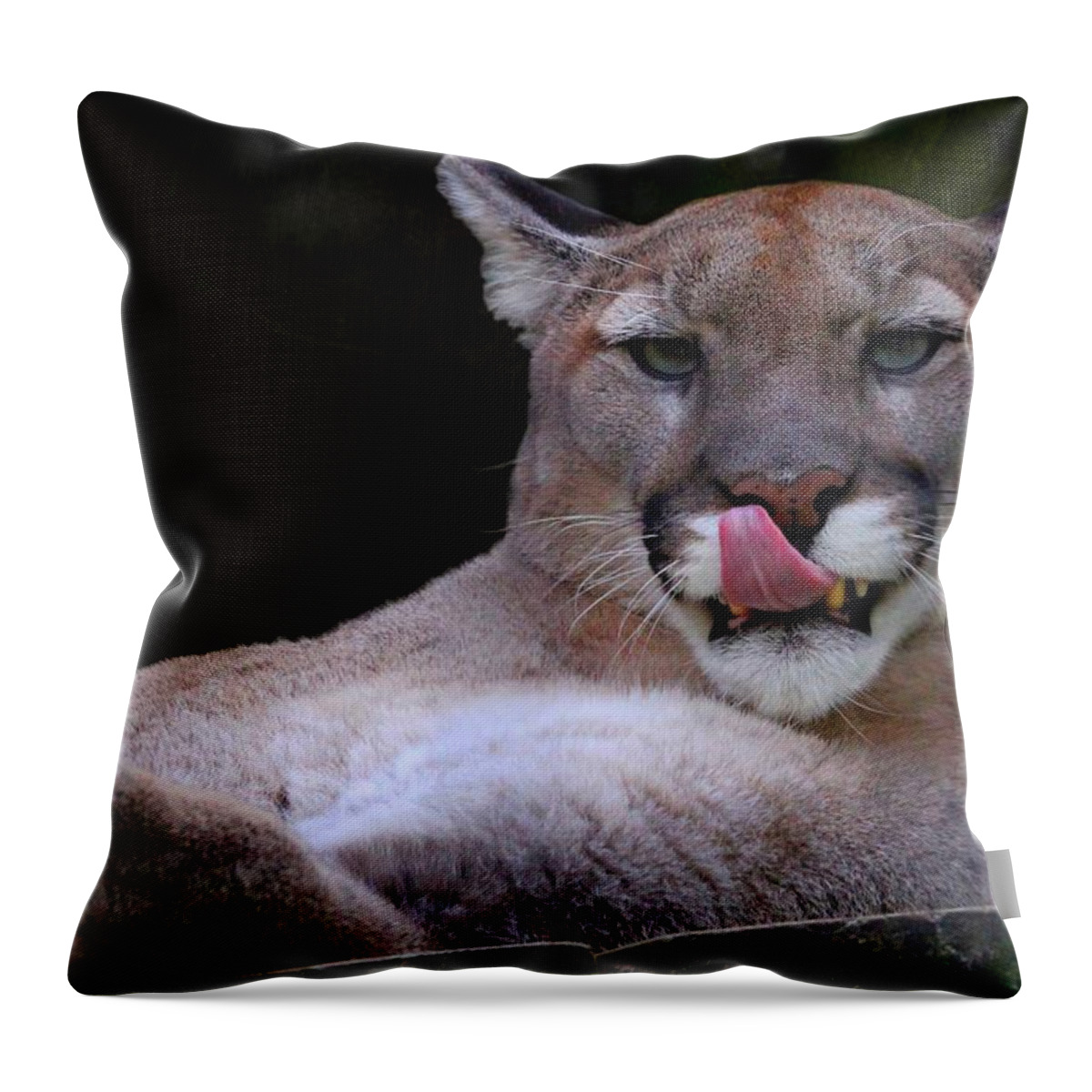 Animal Throw Pillow featuring the photograph Cougar Town by Davandra Cribbie