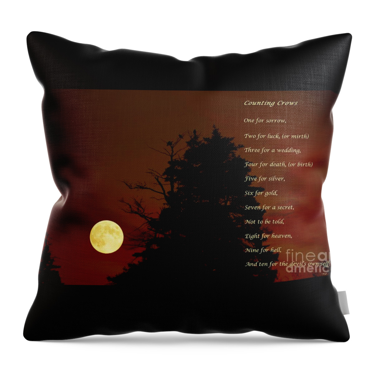 Counting Crows Throw Pillow featuring the photograph Counting Crows - Old Superstitious Nursery Rhyme by Barbara A Griffin