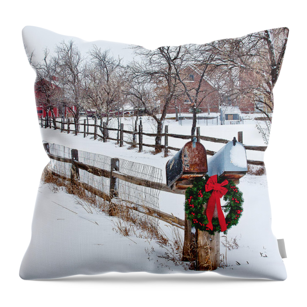 Christmas Throw Pillow featuring the photograph Country Holiday Cheer by Teri Virbickis