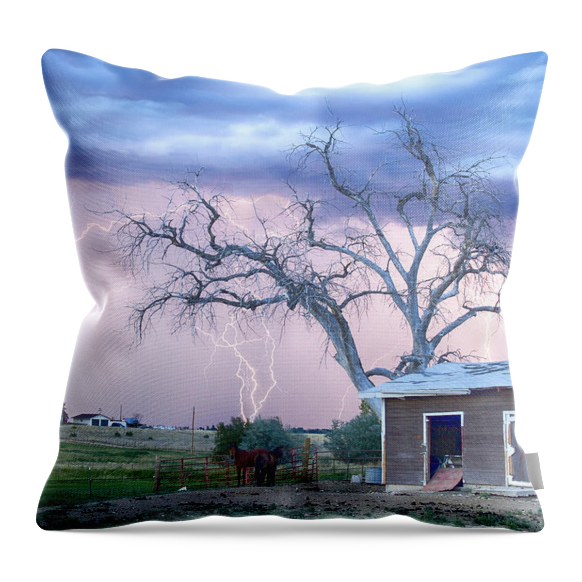 Country Throw Pillow featuring the photograph Country Horses Riders On The Storm by James BO Insogna