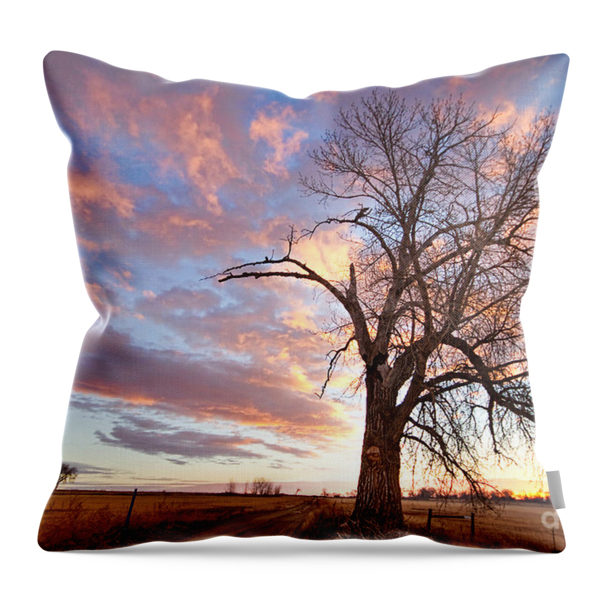 Sunrise Throw Pillow featuring the photograph Country Morning High by James BO Insogna