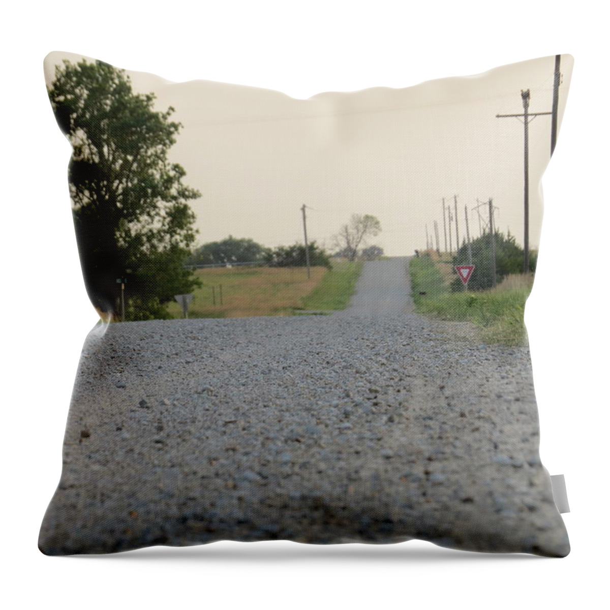 Country Throw Pillow featuring the photograph Country road at twlight by Aaron Martens