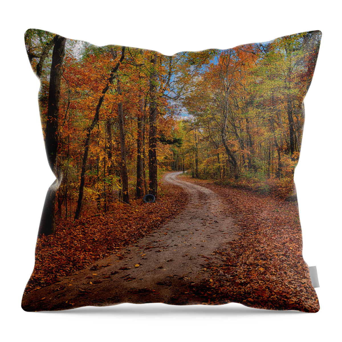 Country Road Throw Pillow featuring the photograph Country Road II by Greg Norrell