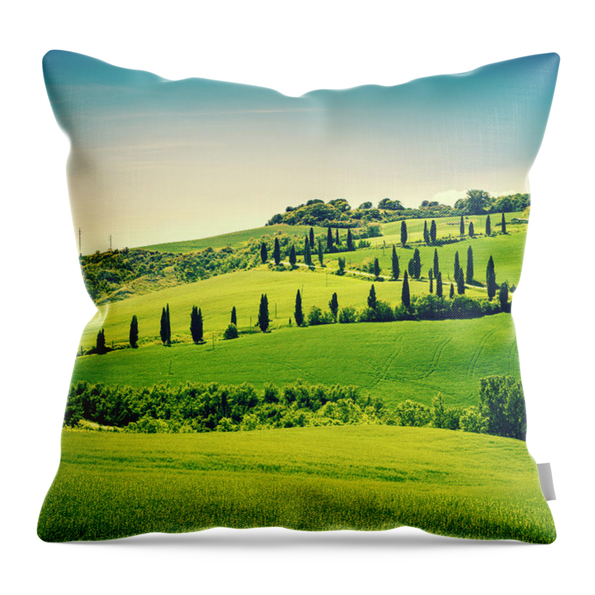 Scenics Throw Pillow featuring the photograph Country Road In Tuscany With Cypress by Zodebala