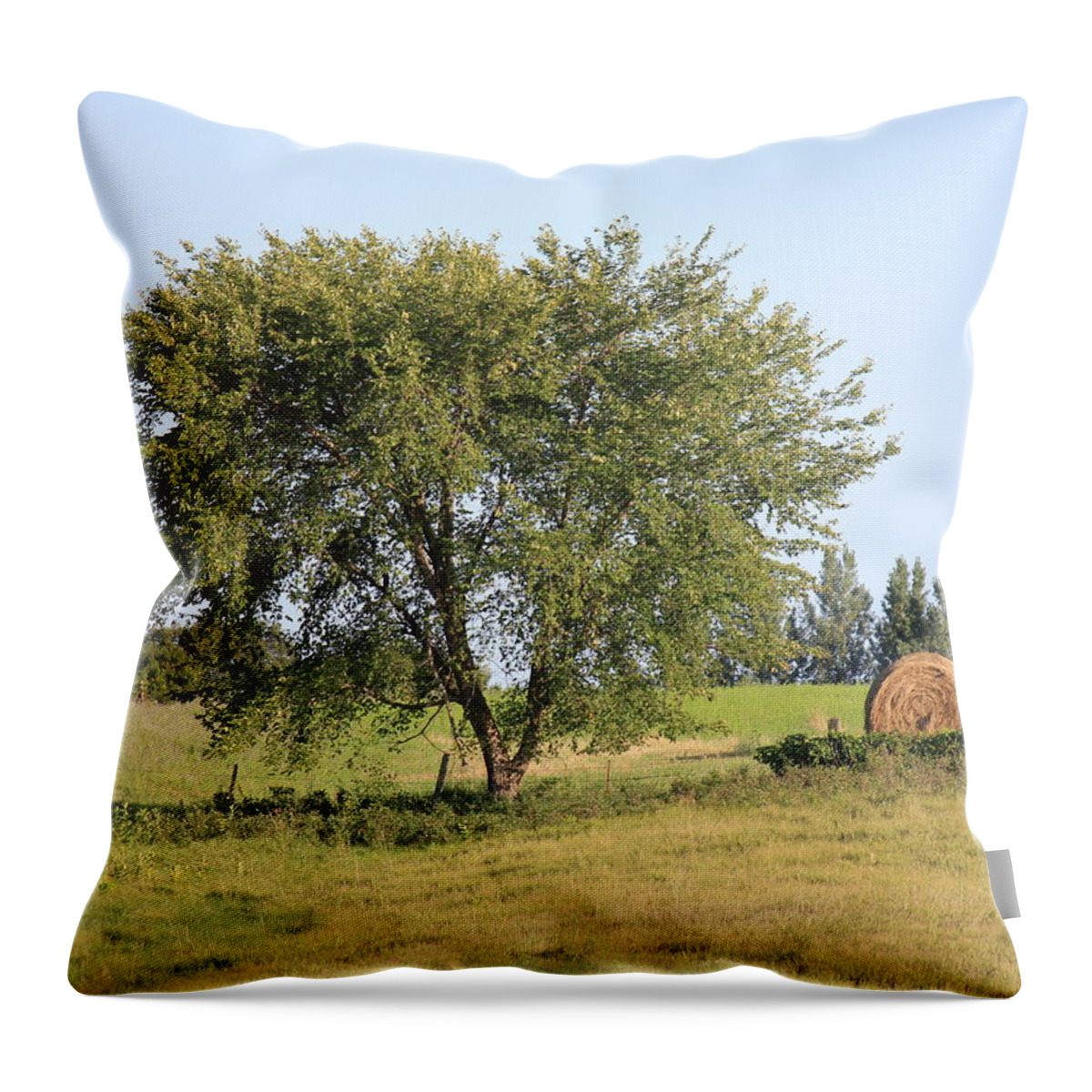 Tree Throw Pillow featuring the photograph Country Scene by Penny Meyers