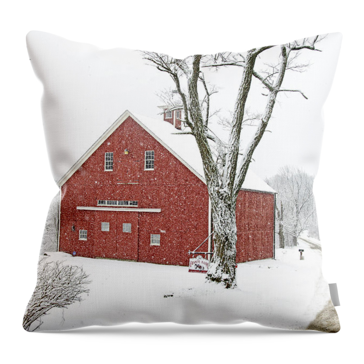 Barns Throw Pillow featuring the photograph Country Snow by Donna Doherty