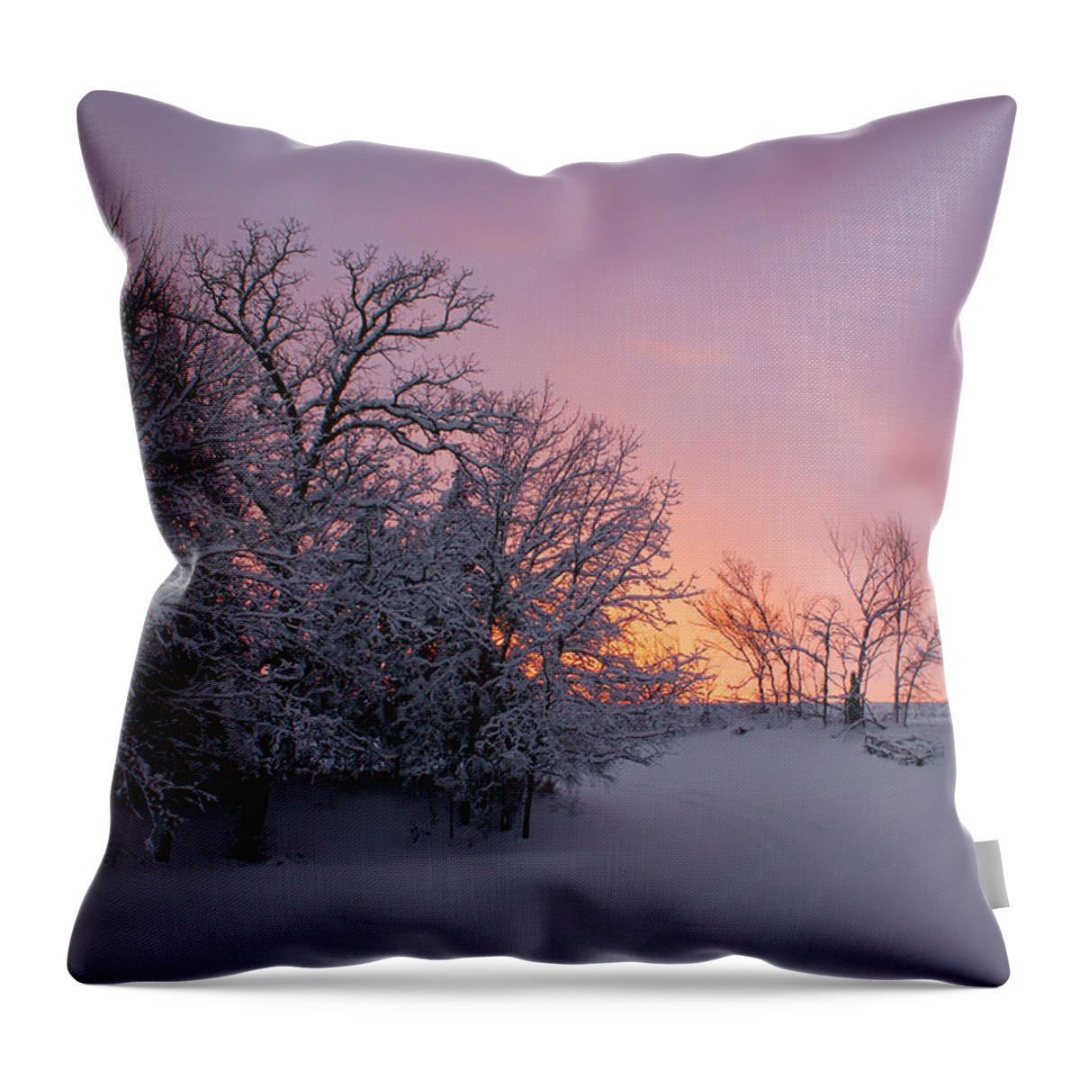 Snow Throw Pillow featuring the photograph Country Sunset - Farm in Winter by Nikolyn McDonald