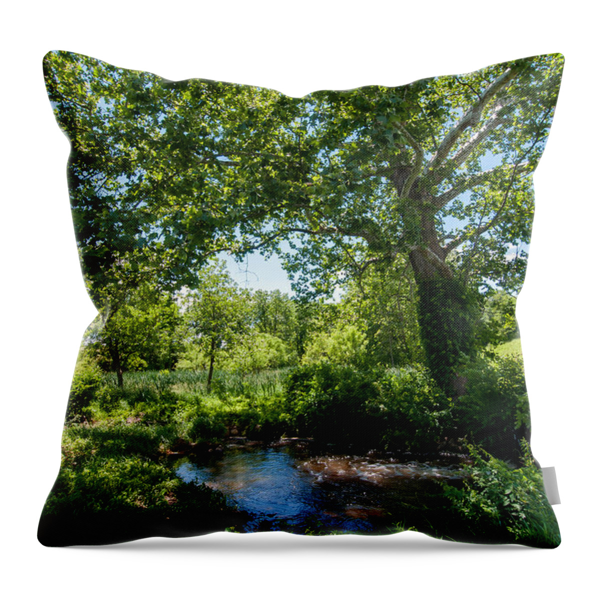 Glade Throw Pillow featuring the photograph Country Tranquility by Jim Moore