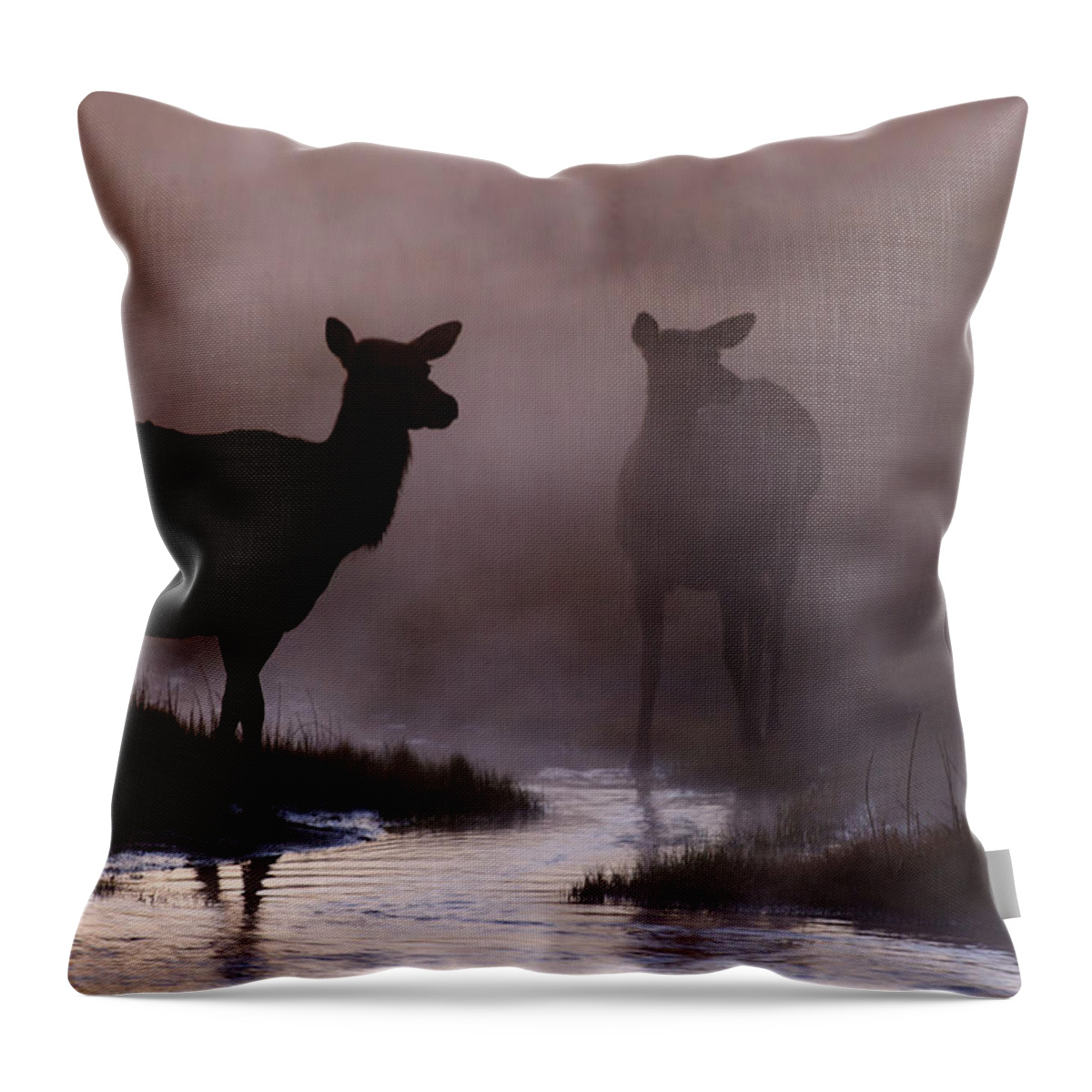 Cow Throw Pillow featuring the photograph Cow elk in the Morning Mist by Gary Langley