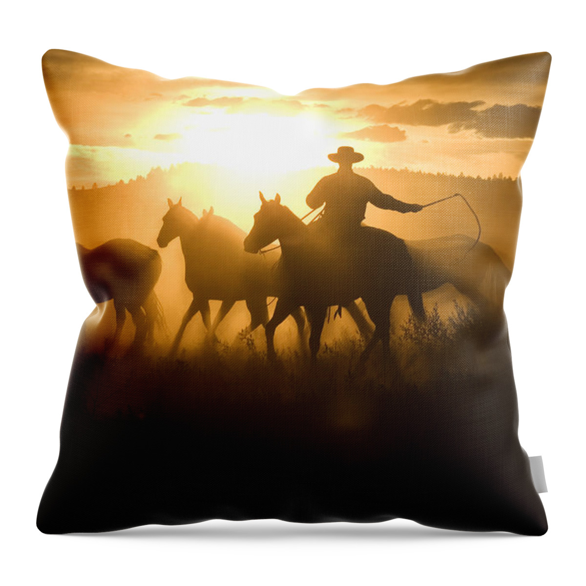 Feb0514 Throw Pillow featuring the photograph Cowboy With Lasso Herding Horses Oregon by Konrad Wothe
