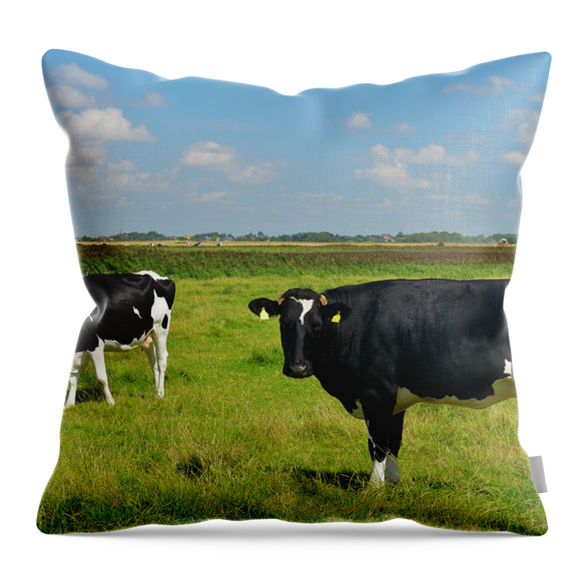 Grass Throw Pillow featuring the photograph Cows On Meadow by Raimund Linke