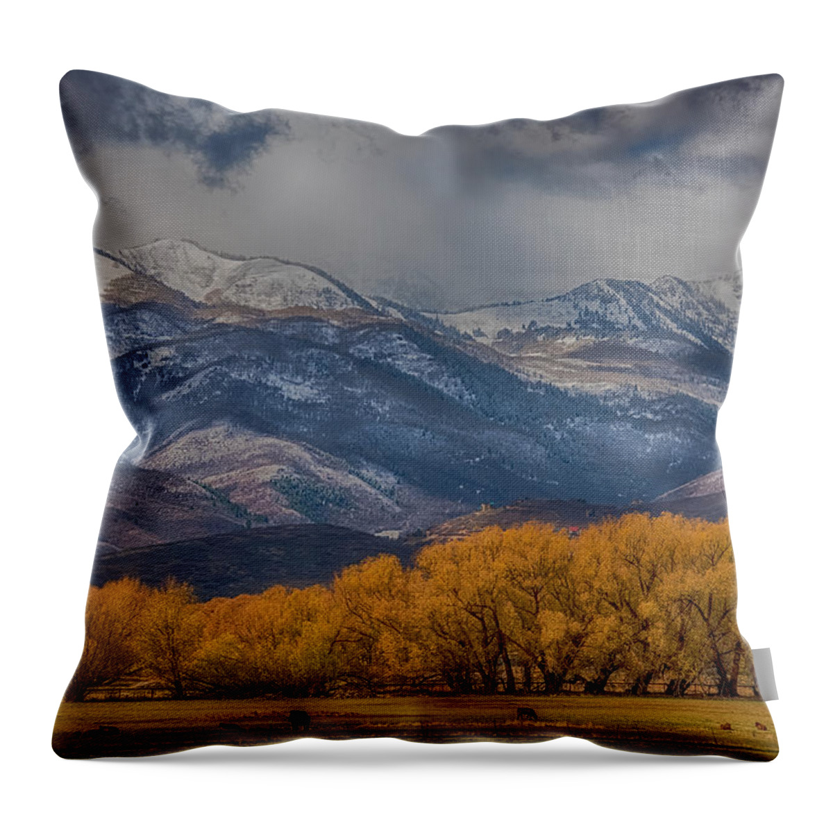 Pasture Throw Pillow featuring the photograph Cows Trees Mountains and Clouds by Paul Freidlund