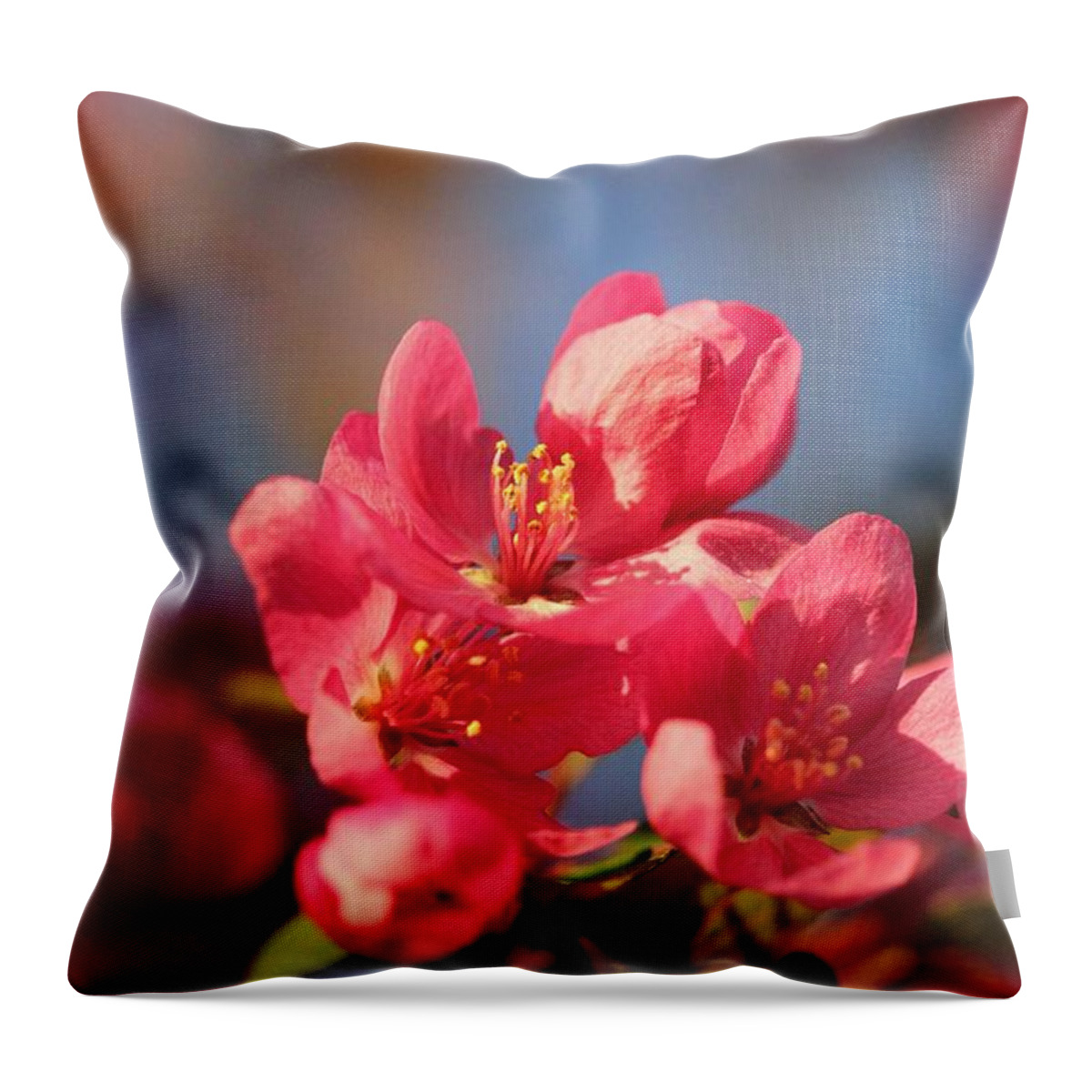 Tree Throw Pillow featuring the photograph Crab Apple by Stephanie Hanson