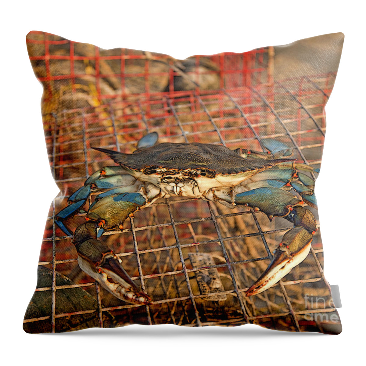 Blue Crab Throw Pillow featuring the photograph Crab Got Away by Luana K Perez