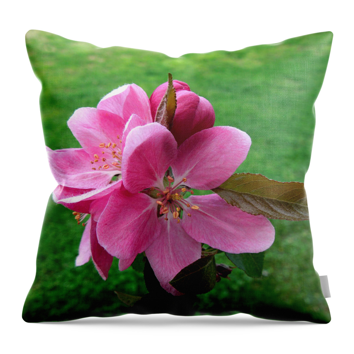 Crabapple Throw Pillow featuring the photograph Crabapple Portrait by Pete Trenholm