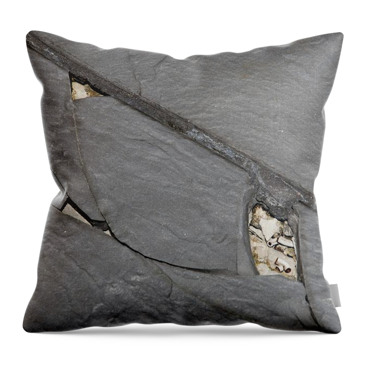 Sculptures Throw Pillow featuring the photograph Cracked Slate by Rob Hans