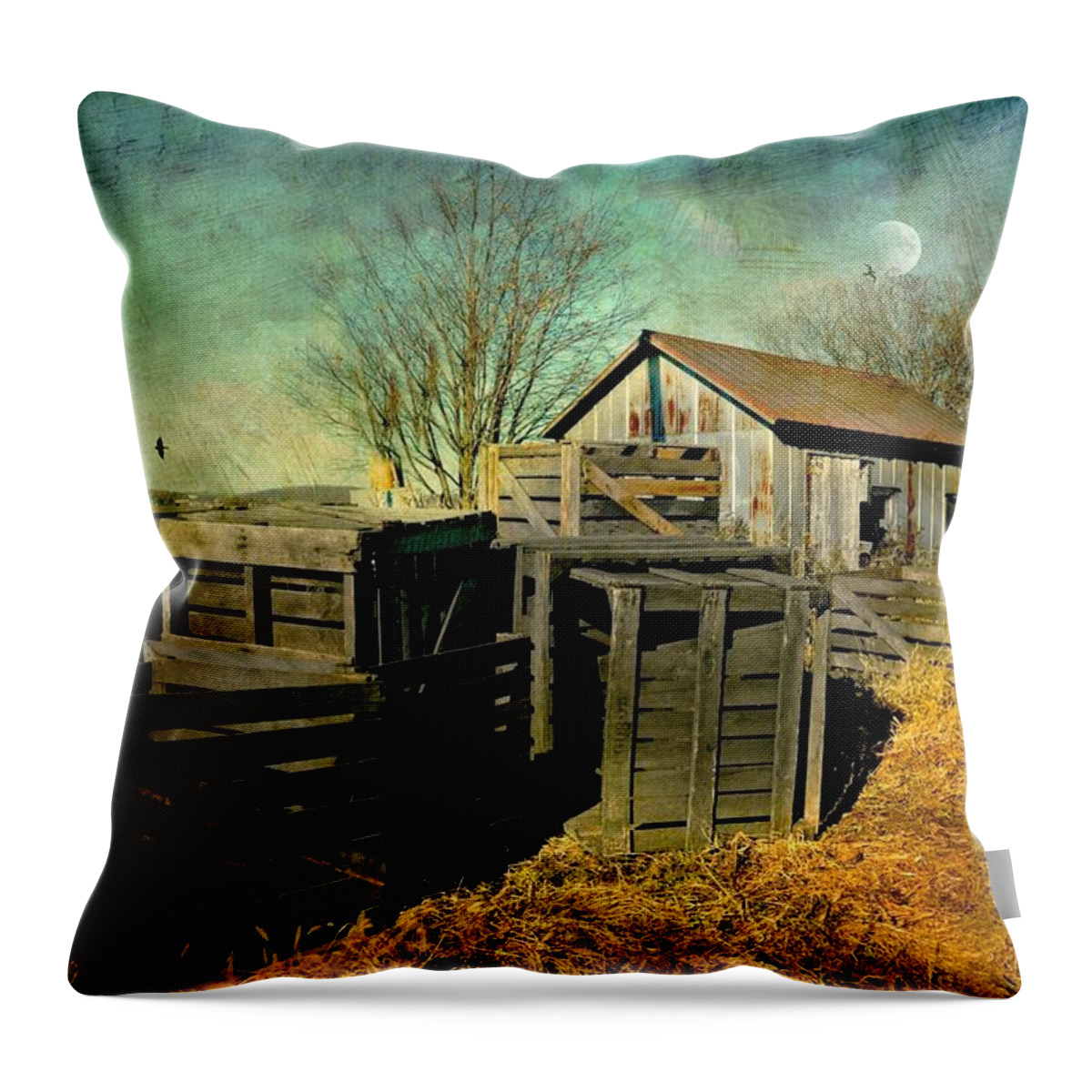 Landscape Throw Pillow featuring the photograph Crates'n Cabin by Diana Angstadt