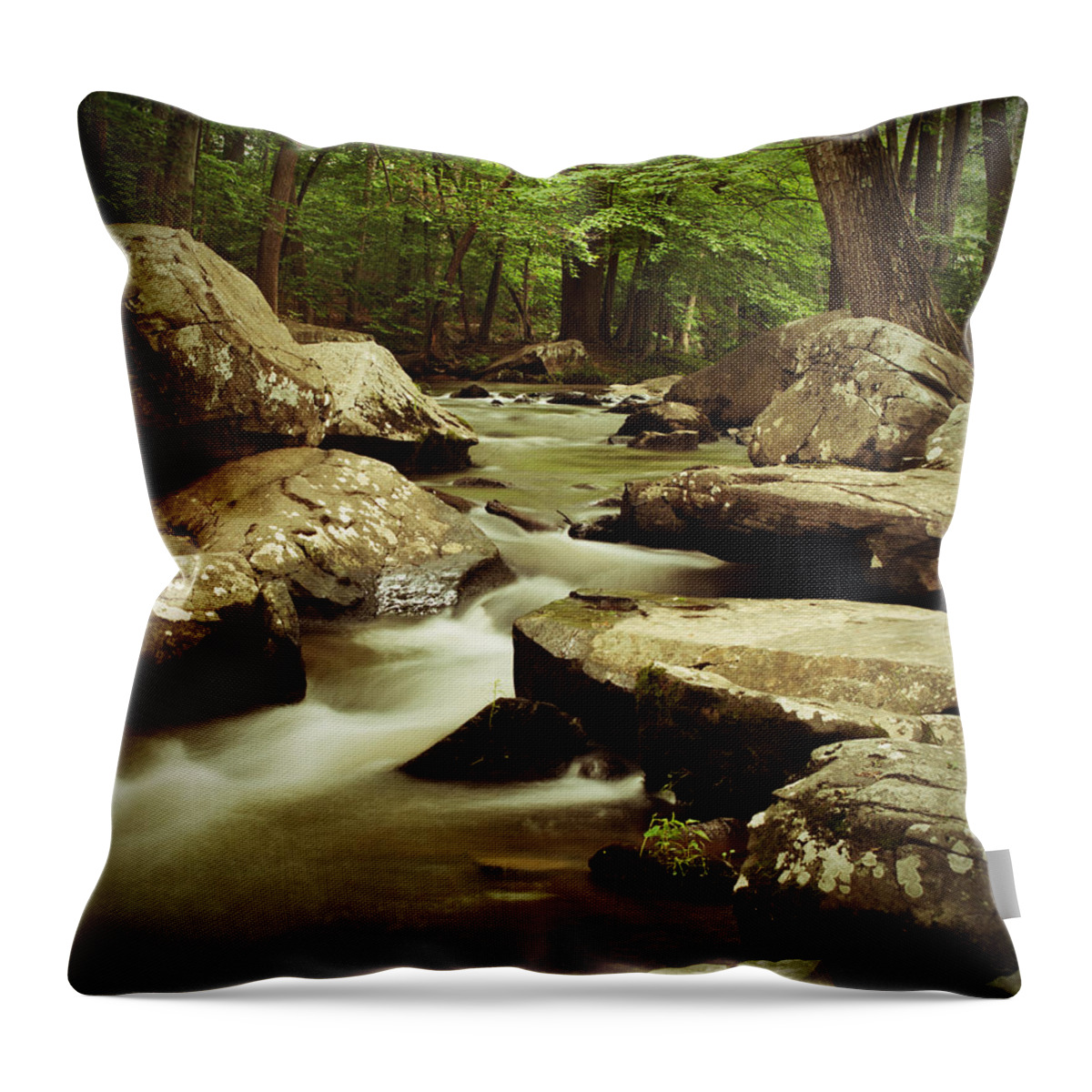 St. Peters Village Throw Pillow featuring the photograph Creek at St. Peters by Michael Porchik